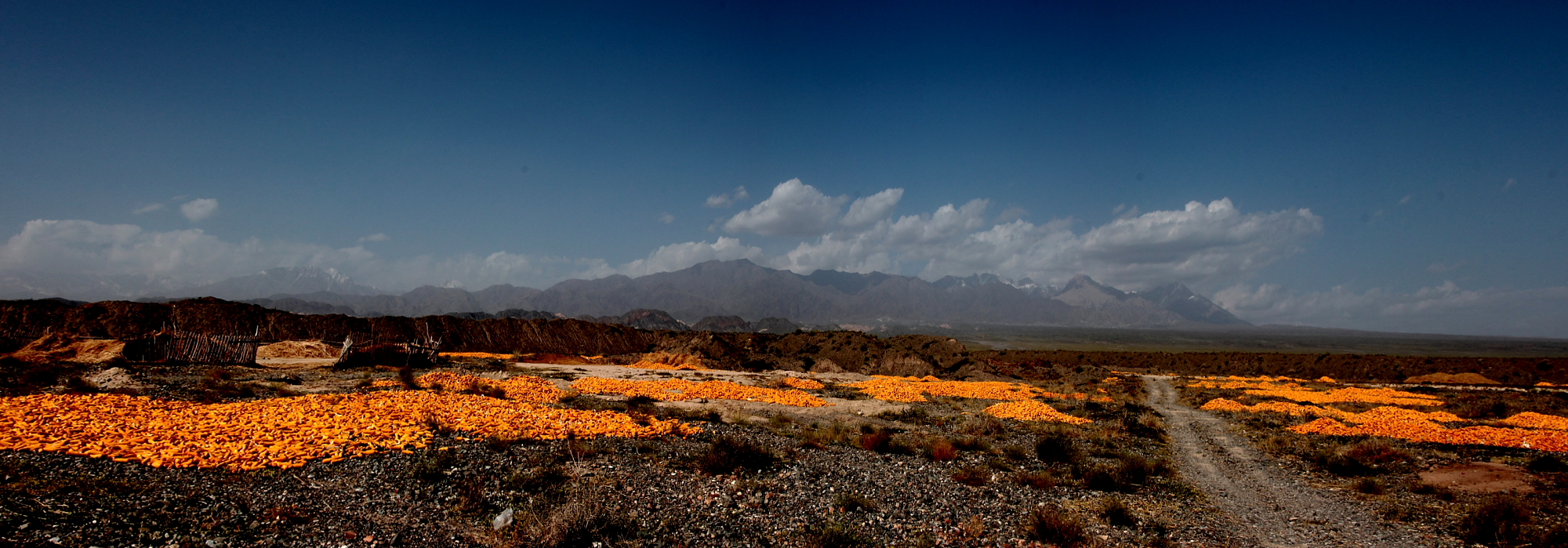 Paysage du Wensu Grand Canyon, préfecture d'Aksu, Xinjiang