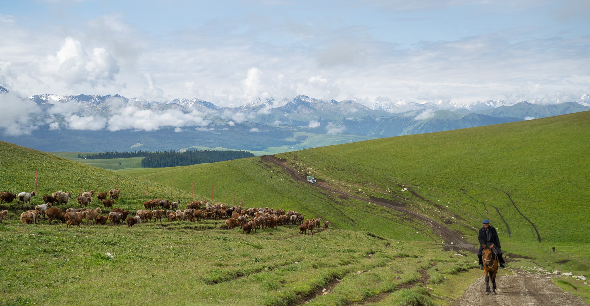 Kalajun Grassland in the Ili Tian Shan
