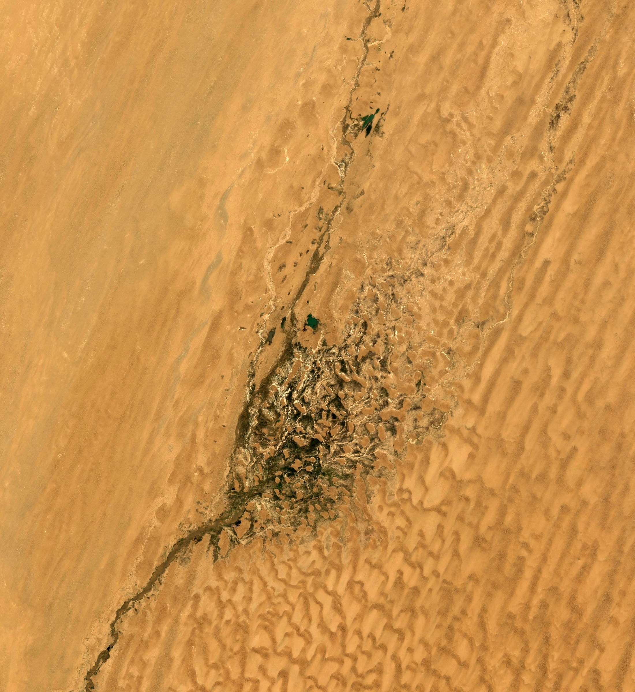 Rivière Keriya vue par l'imagerie satellite Sentinel-2