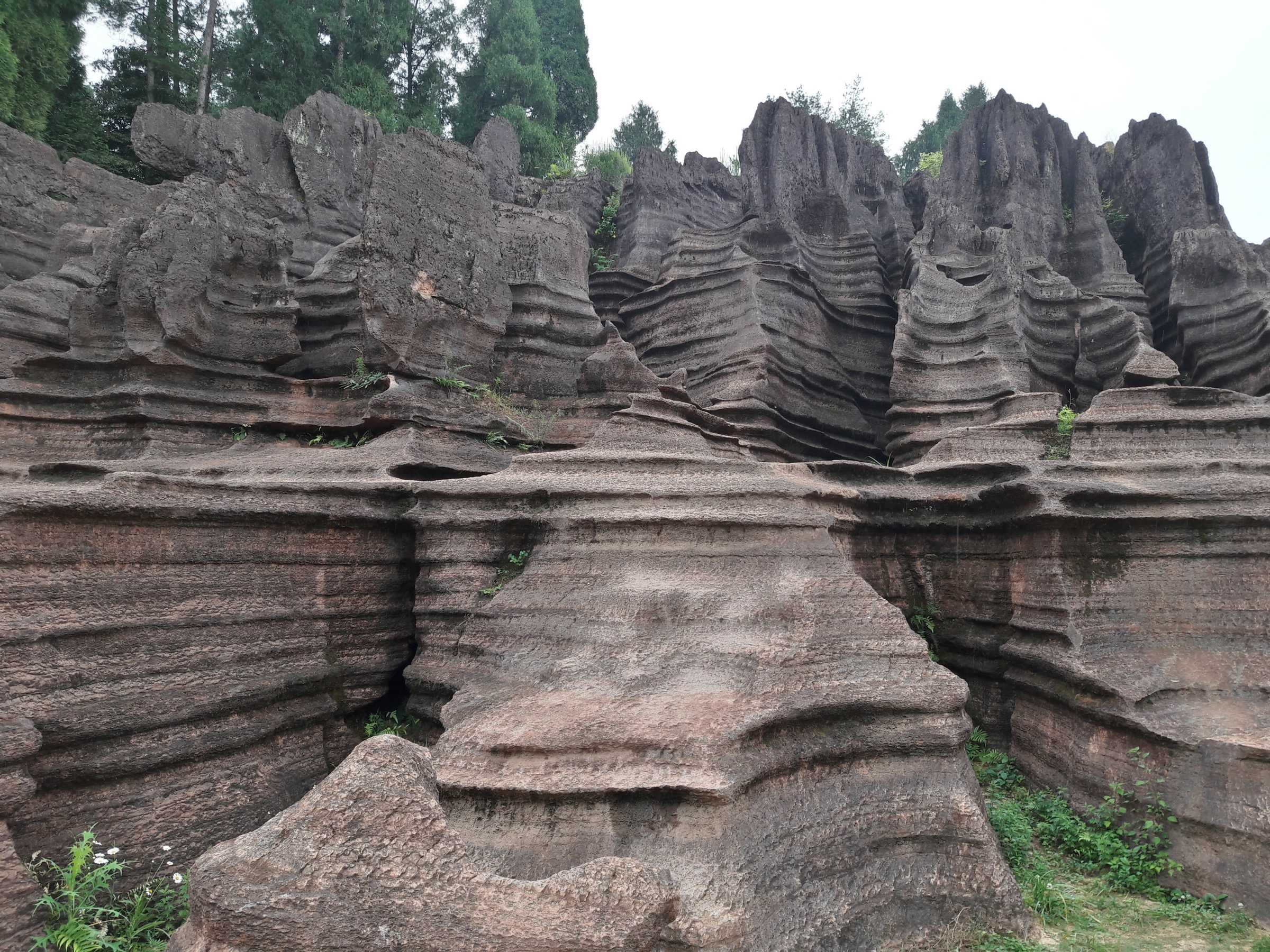 Chine — Monts Wuling : Hongshilin et le karst de Xiangxi, Hunan