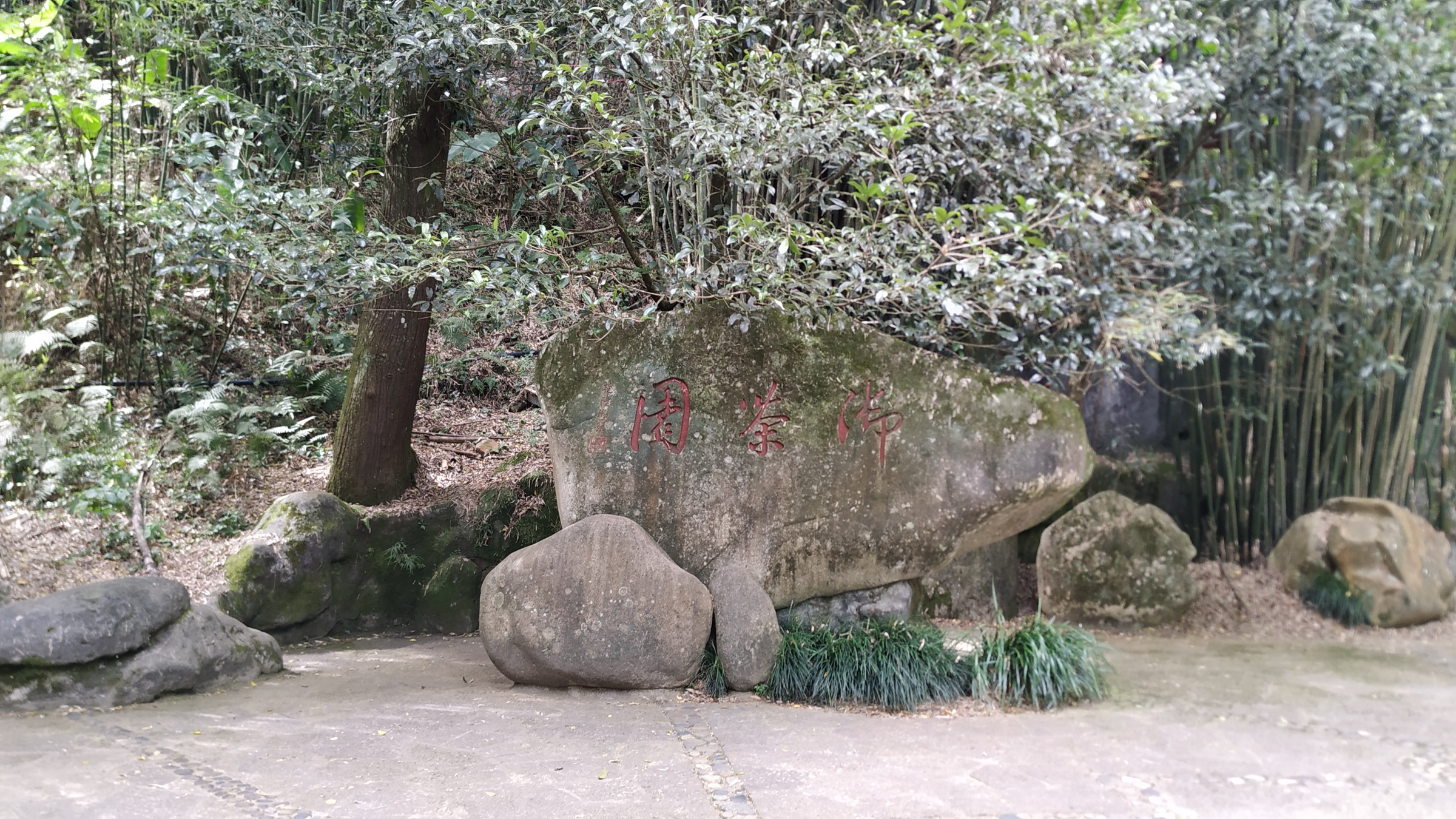 China — Wuyi Shan Scenic Region, Fujian: Essential Day-Hikes