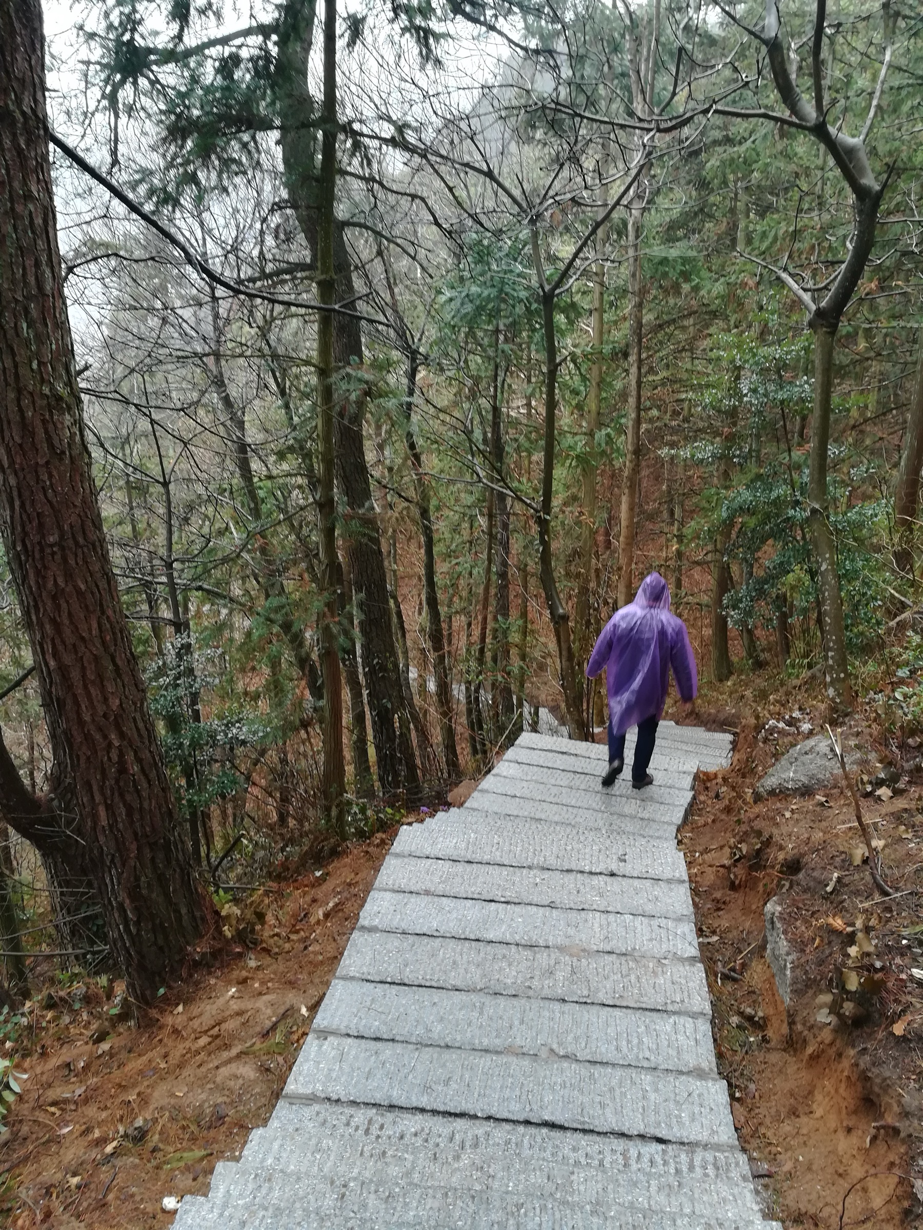 Traditional stone steps on the Nanyue pilgrim path up Mount Heng