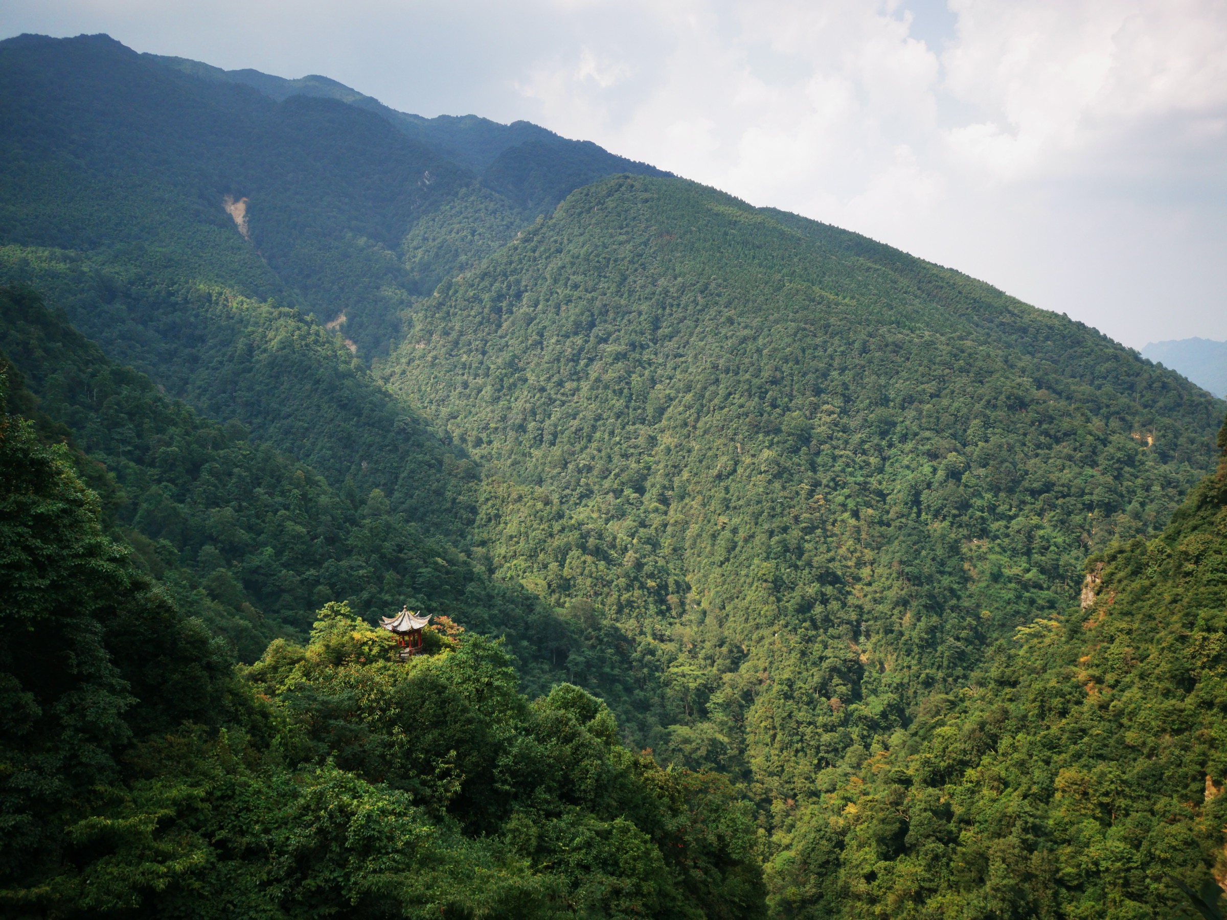 Longtan canyon with stepped granite plunge-pools and dense bamboo forest