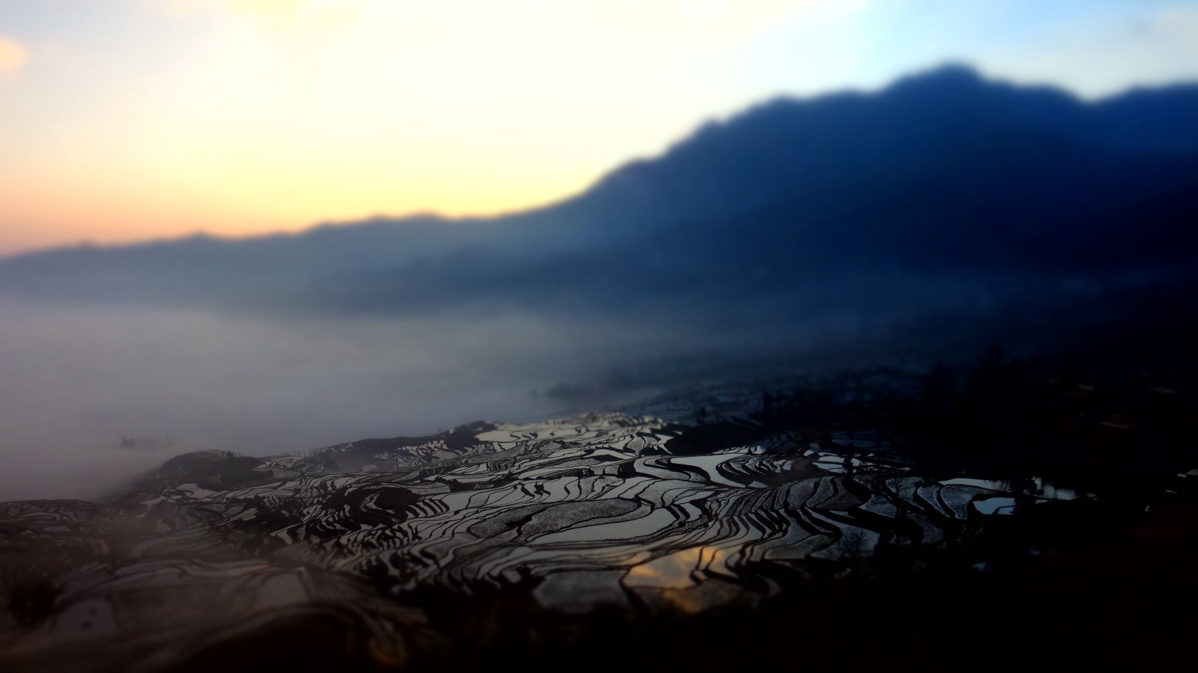 Sea of cloud and dawn light over the Yuanyang Hani rice terraces above Duoyishu