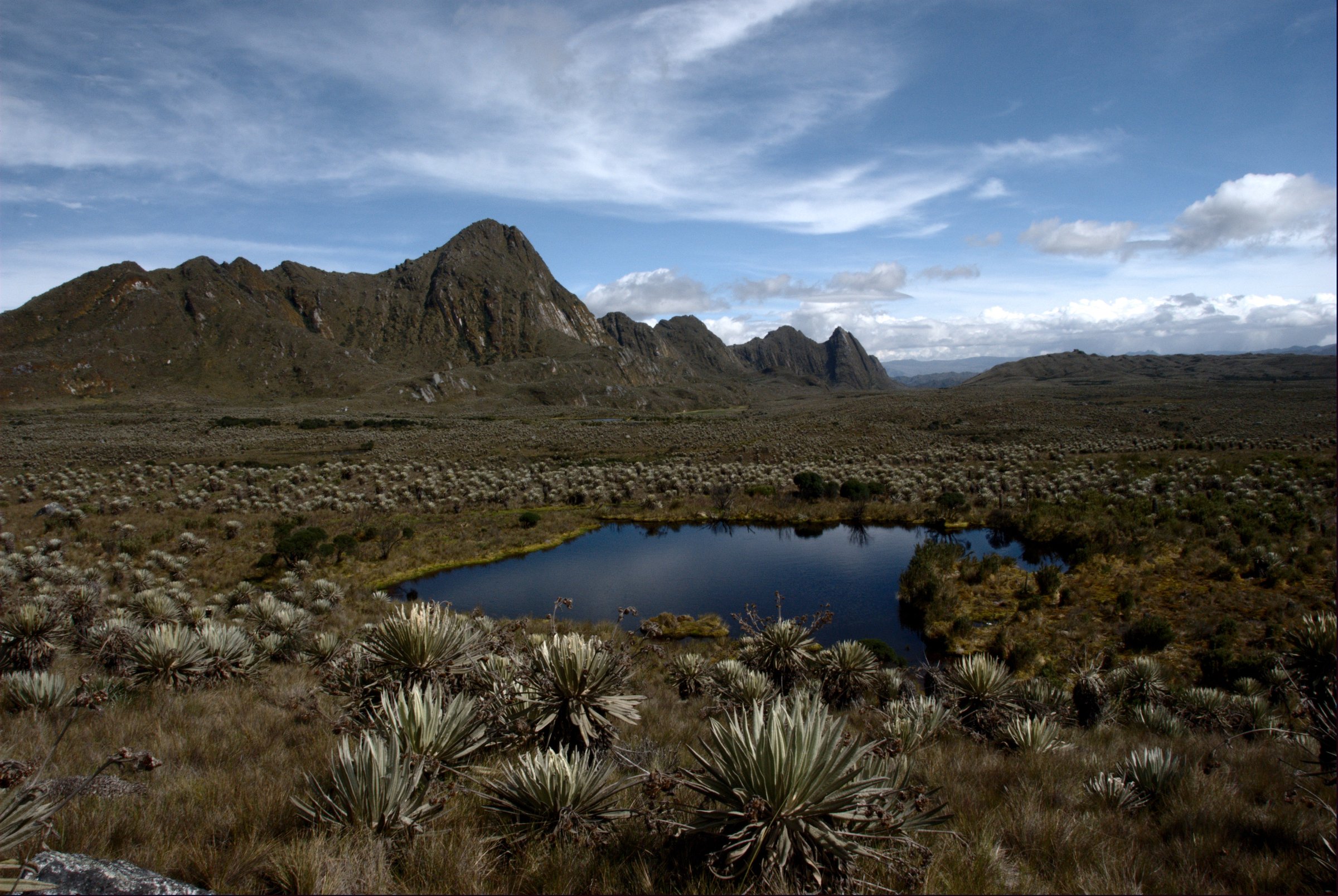 Colombia — Northern Andes / Eastern Cordillera / Bogota Highlands: Essential Day-Hikes