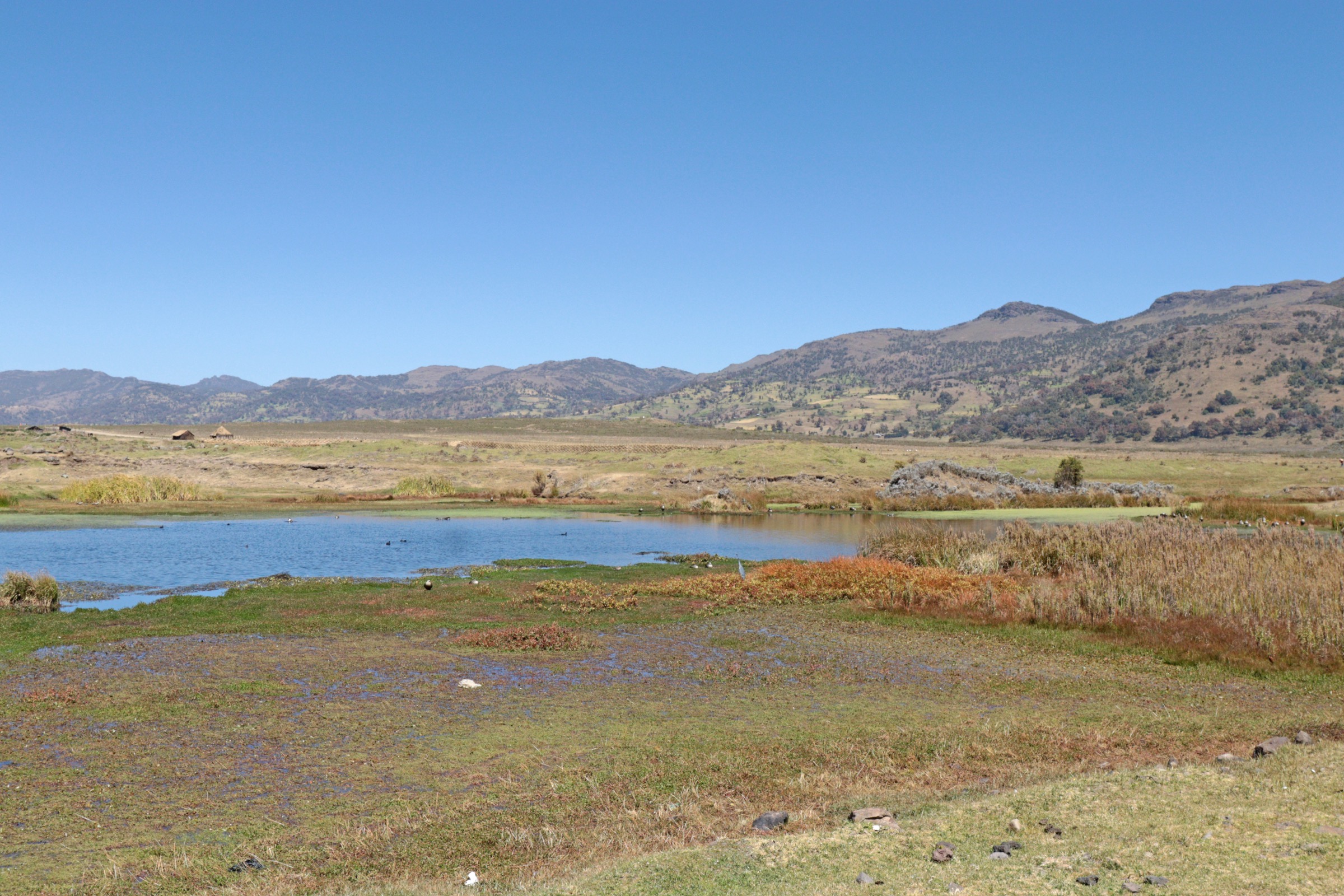 Ethiopia — Ethiopian Highlands / Bale Mountains