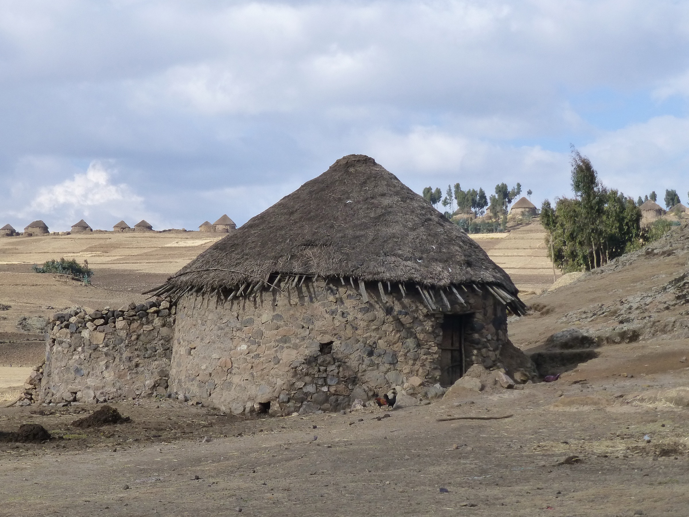 Paysage des hauts plateaux éthiopiens, région Amhara