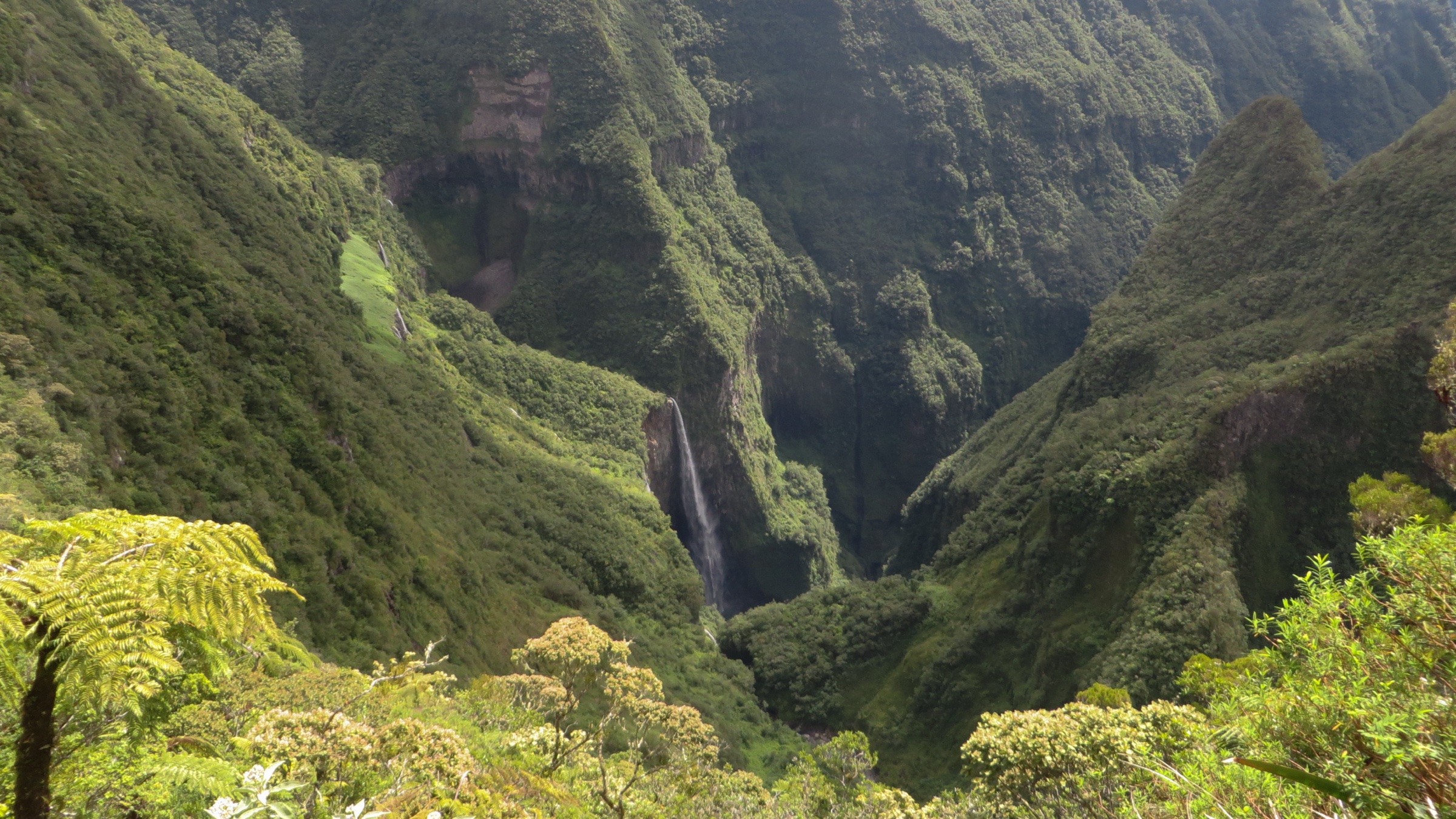 Le canyon du Trou de Fer vu depuis le rebord, avec plusieurs cascades plongeant dans un gouffre boisé sur le flanc est du massif du Piton des Neiges