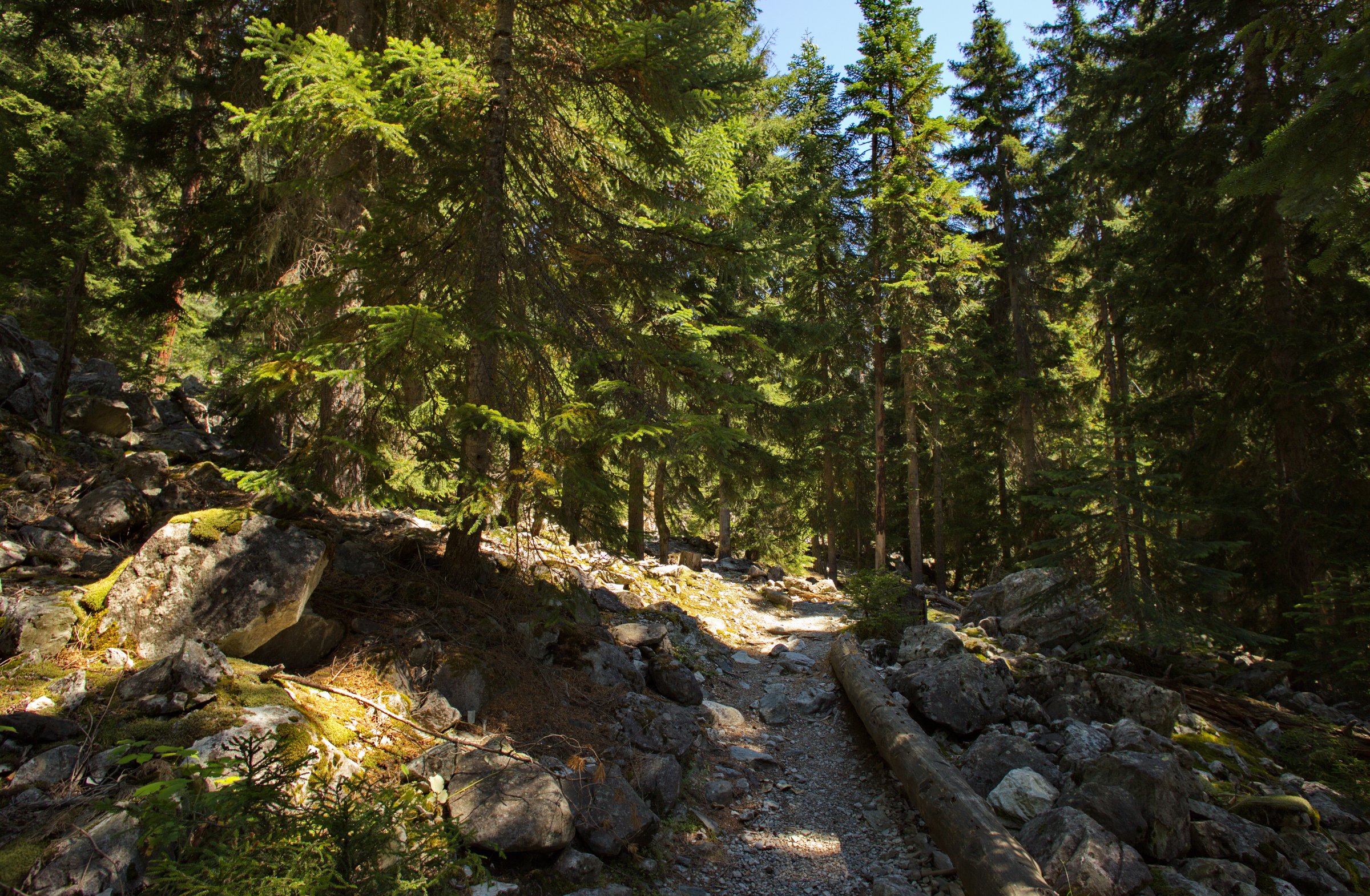 Sur le sentier du glacier Chalaadi, Samegrelo-Zemo Svanétie, Géorgie