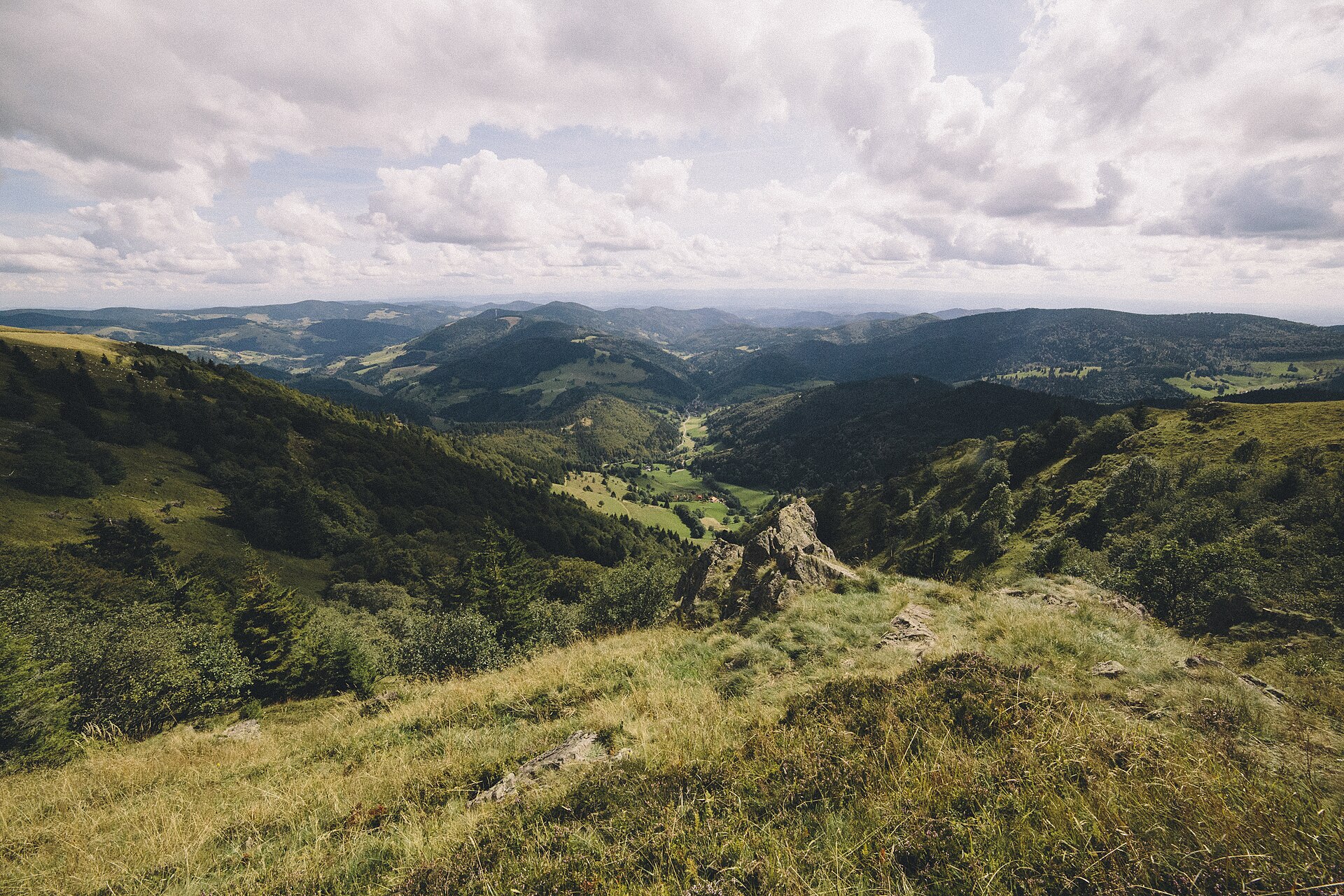 Vue depuis le Belchen sur le sud de la Forêt-Noire