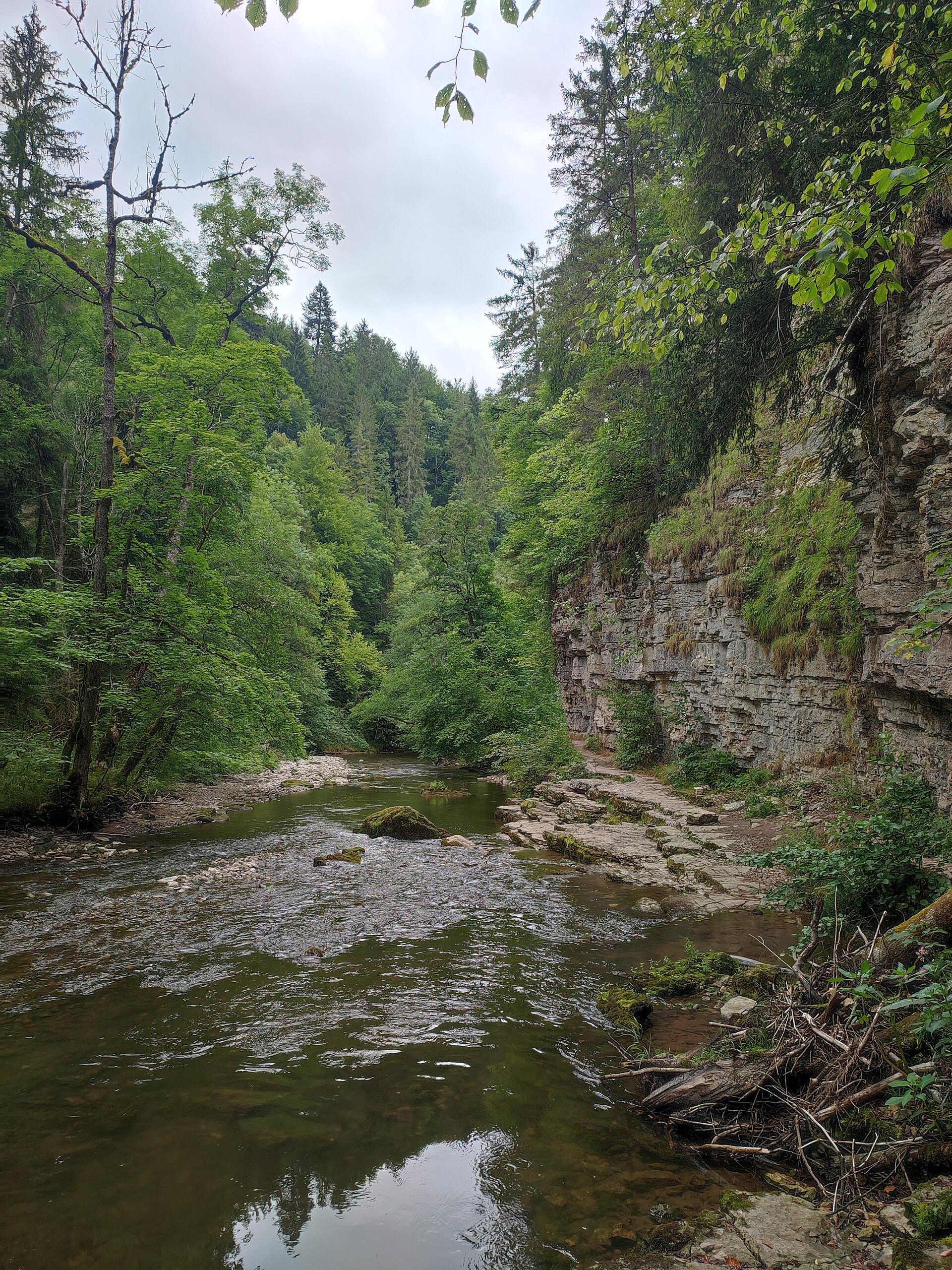 La Wutach dans la réserve naturelle de la gorge de la Wutach