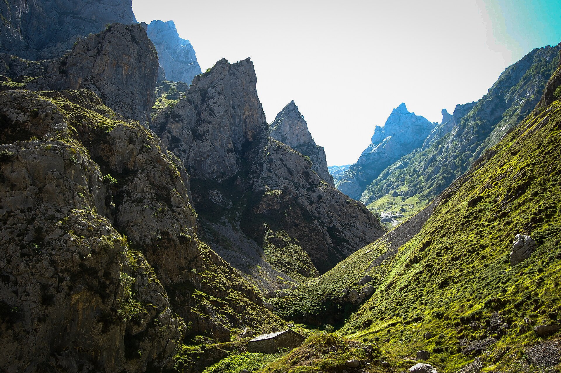 Sentier de la Ruta del Cares taillé dans les parois calcaires