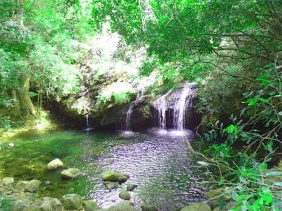 Chutes de Nagalapuram