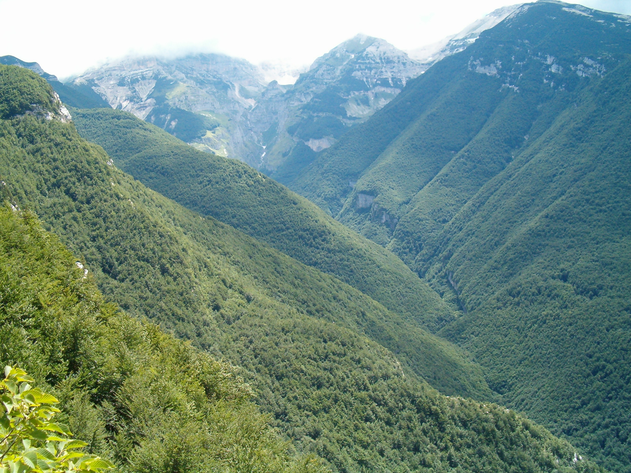 Orfento