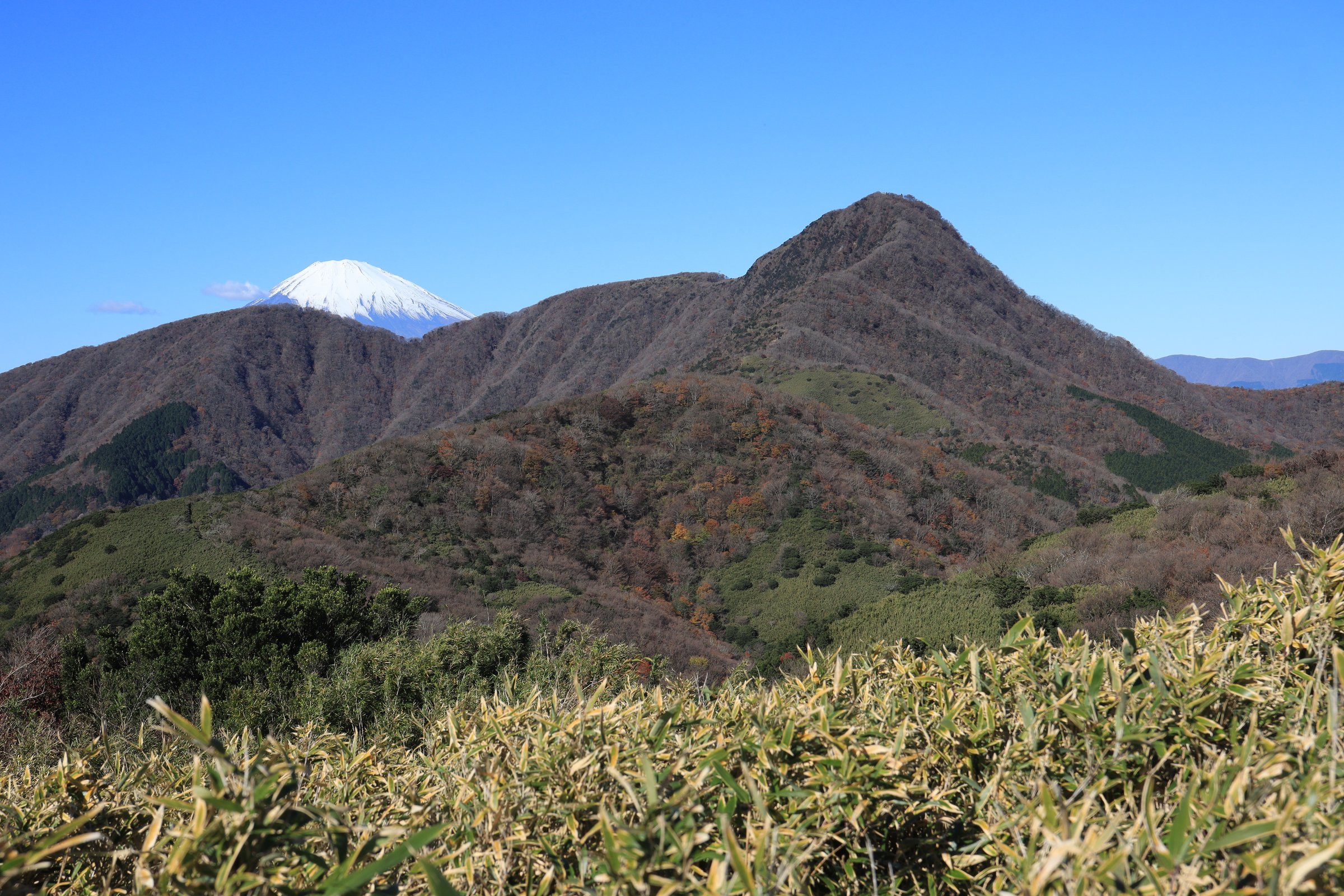 Mont Kintoki et mont Fuji