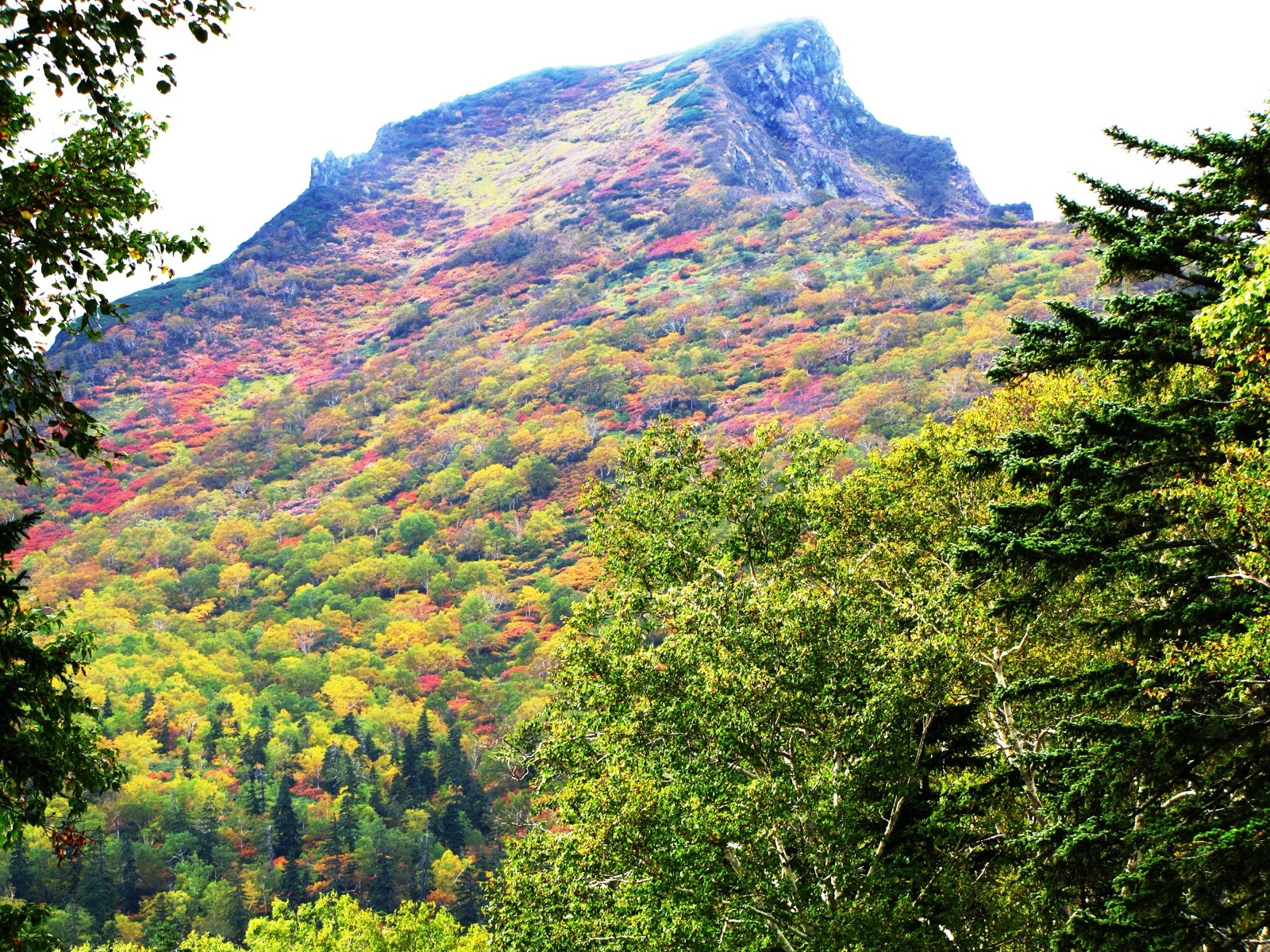 Mount Kurodake, Daisetsuzan, autumn colours