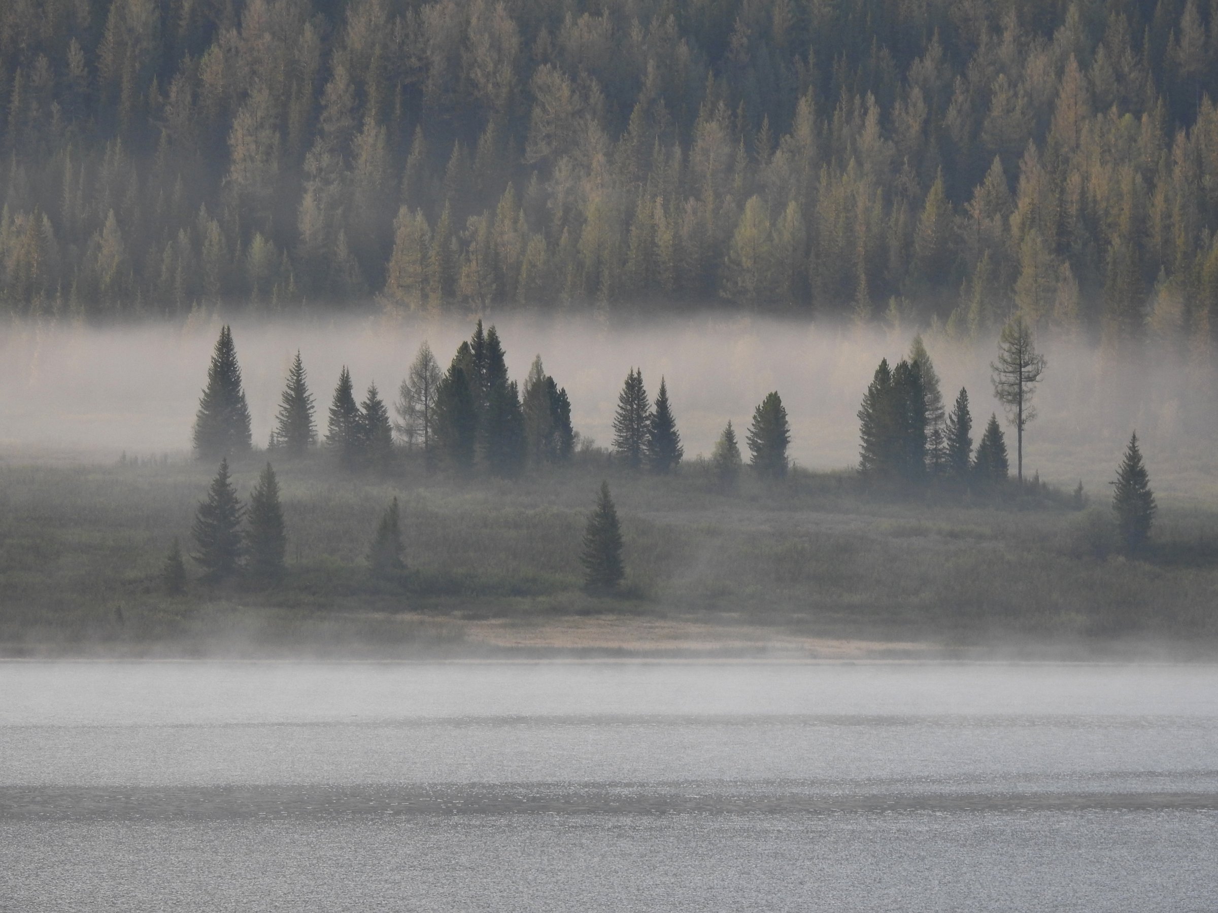 Morning mist on Lake Yazevoye, Katon-Karagay National Park