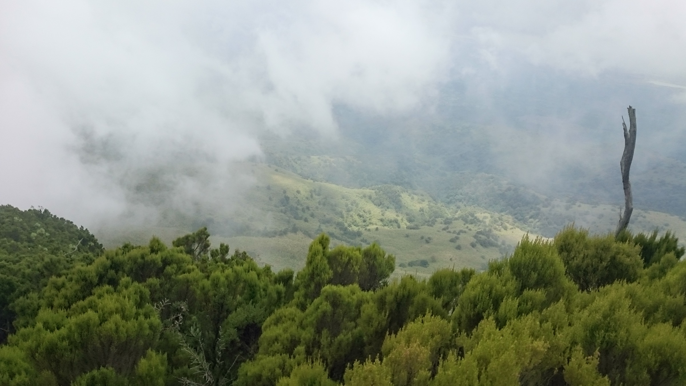 Kenya — Aberdare Range : randonnées essentielles à la journée