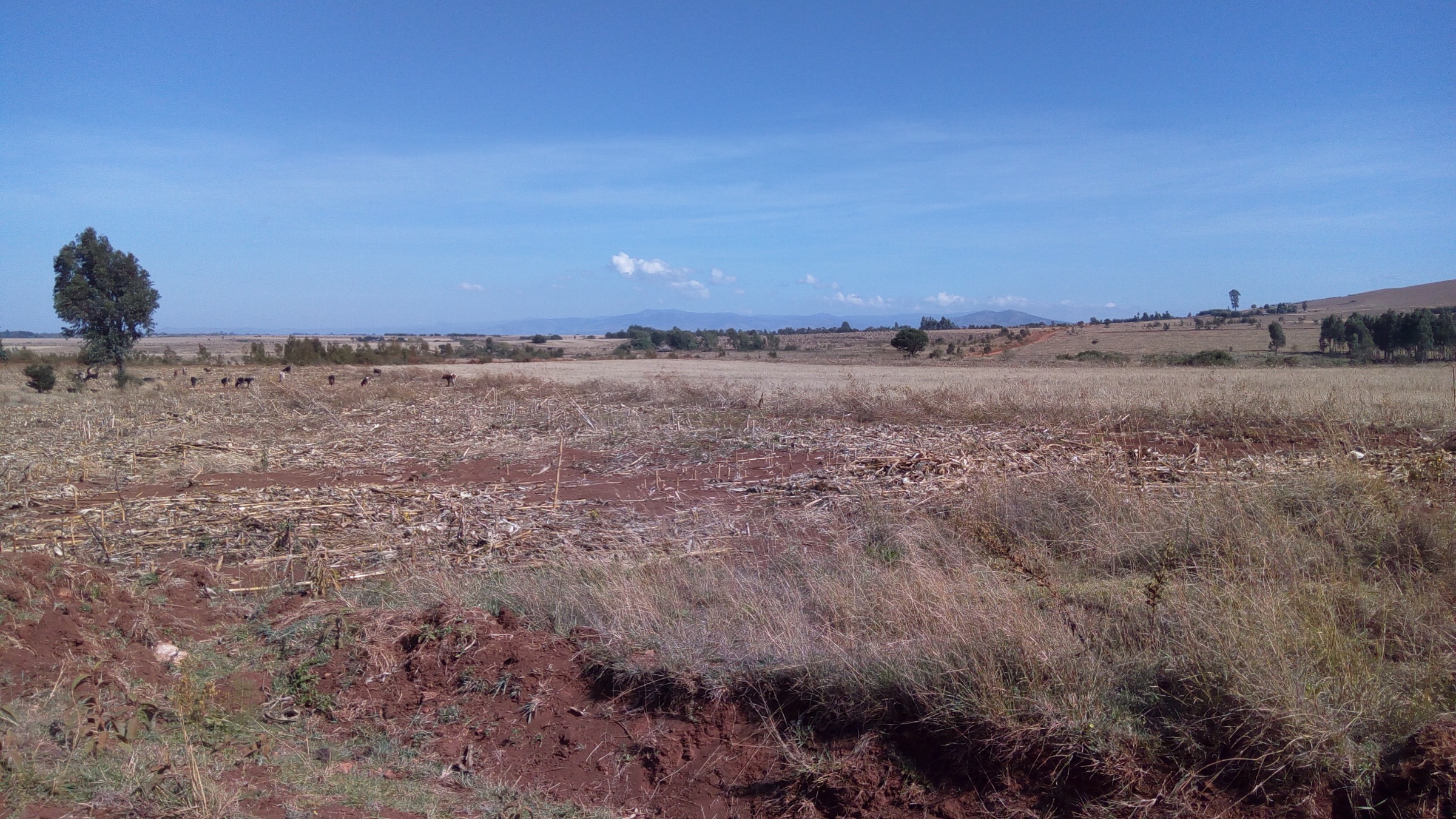 Kenya — Cherangani Hills : randonnées essentielles à la journée