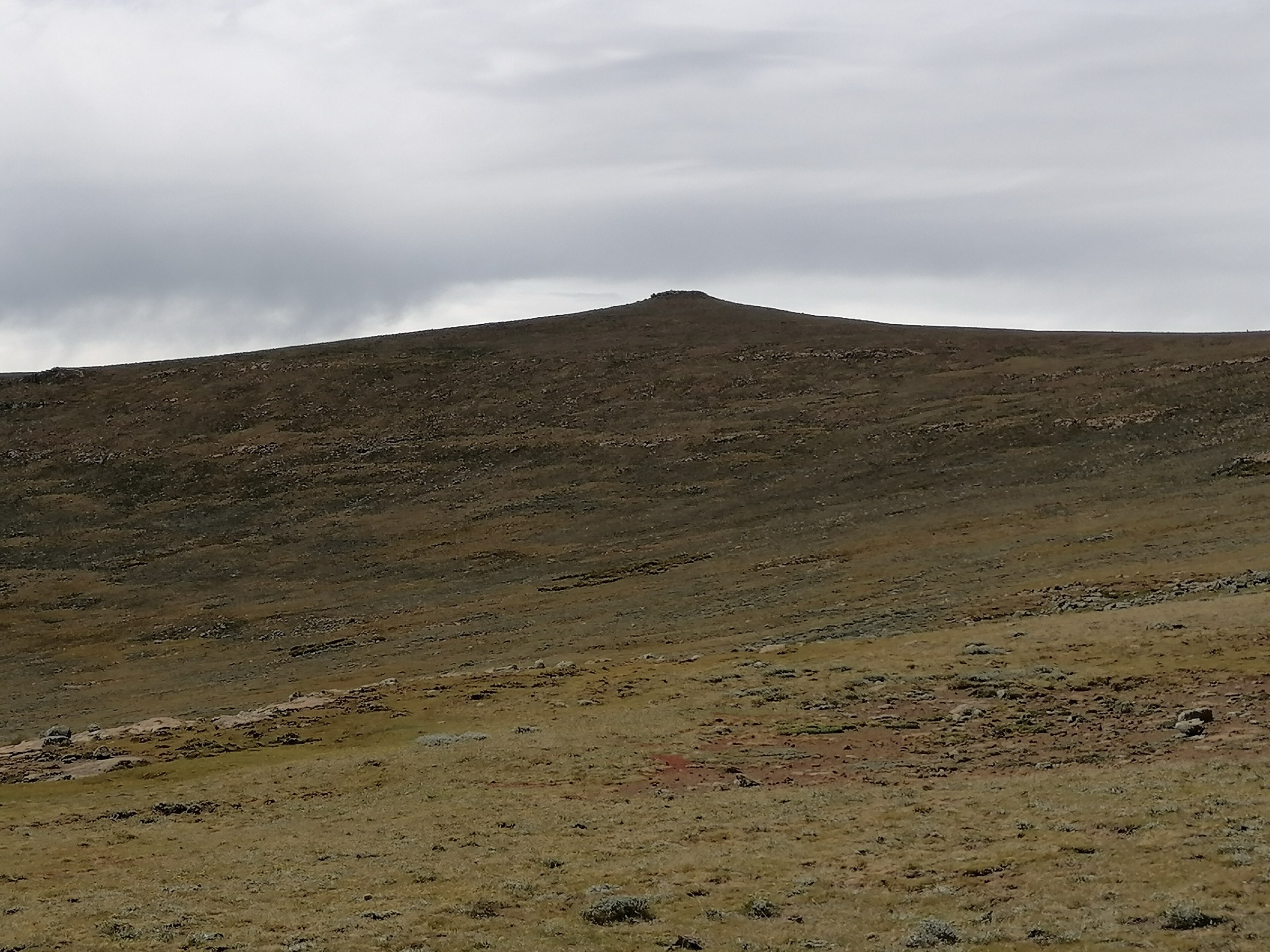High plateau near the summit of Thabana Ntlenyana, the highest point in Lesotho