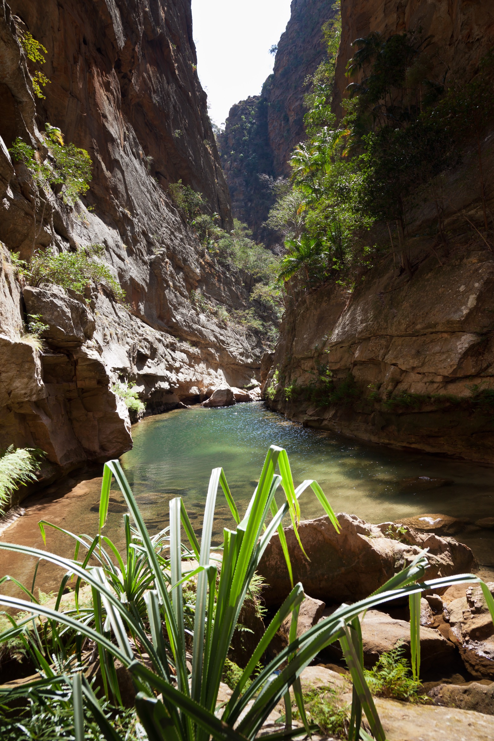 Canyon des Makis et Canyon des Rats, massif de l'Isalo