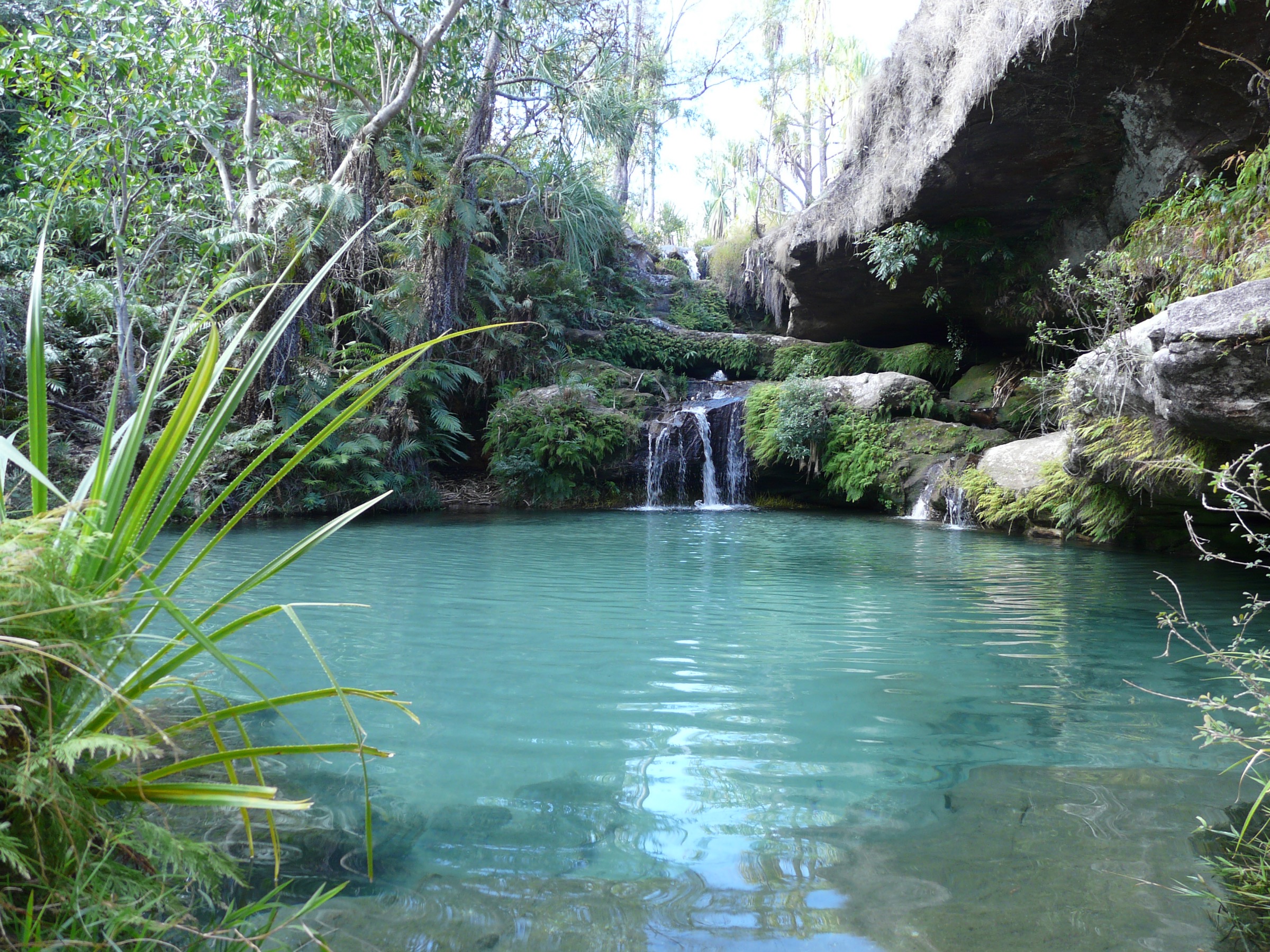 Piscine naturelle de l'Isalo