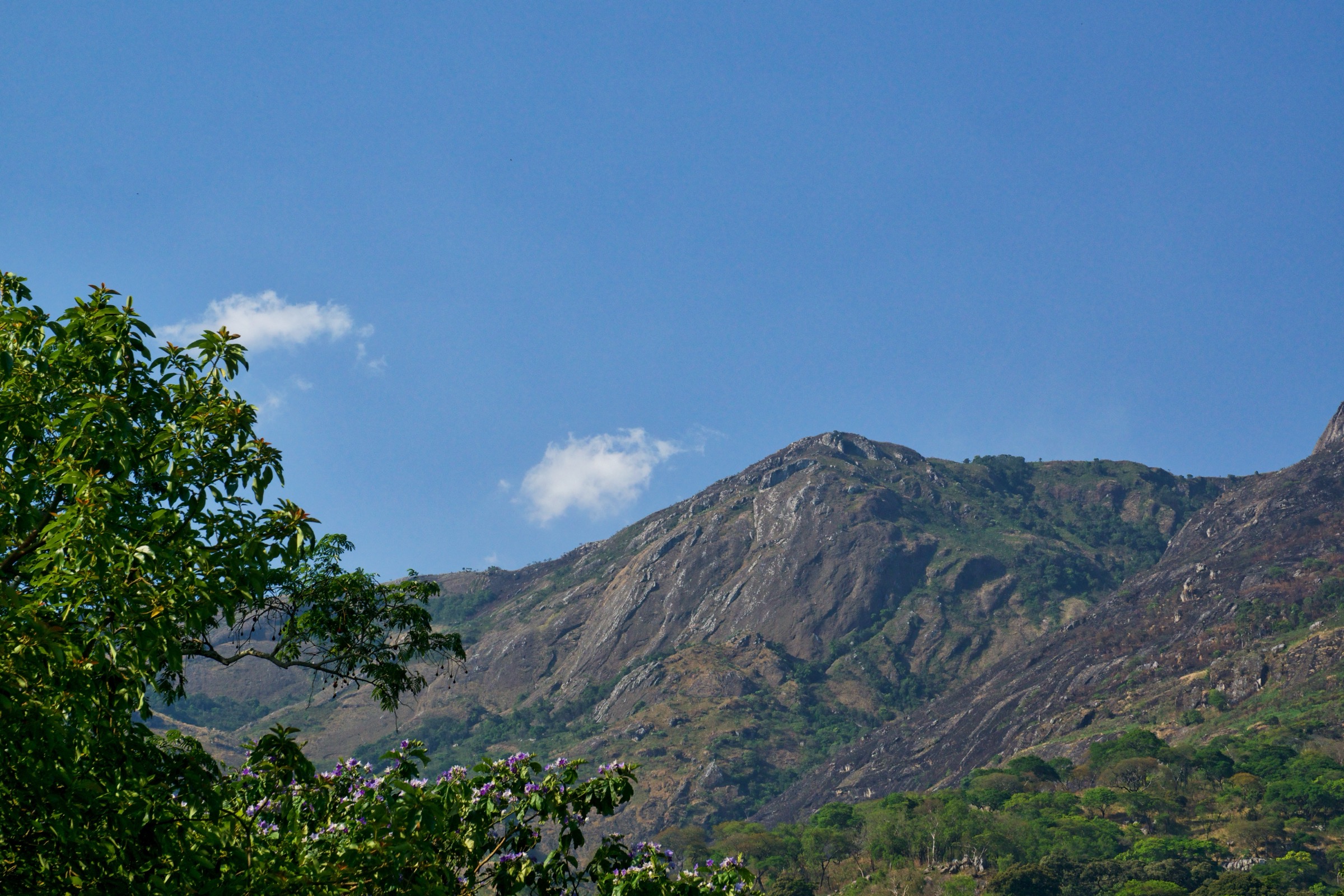 The Mulanje Massif on the approach to the Lichenya plateau