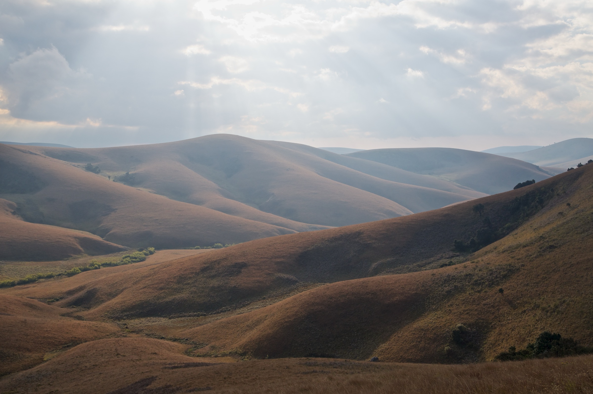 Malawi — Nyika Plateau: Essential Day-Hikes