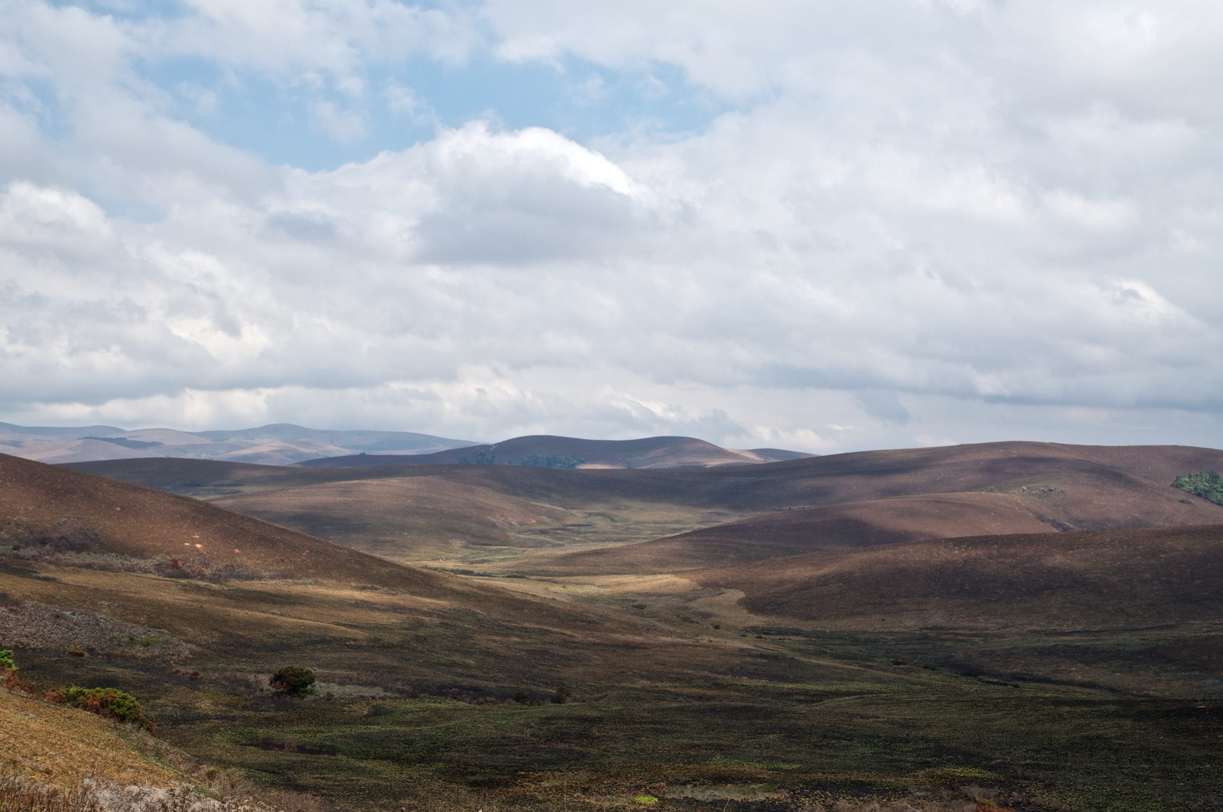 Paysage du plateau de Nyika (illustratif de l'approche de Fingira)
