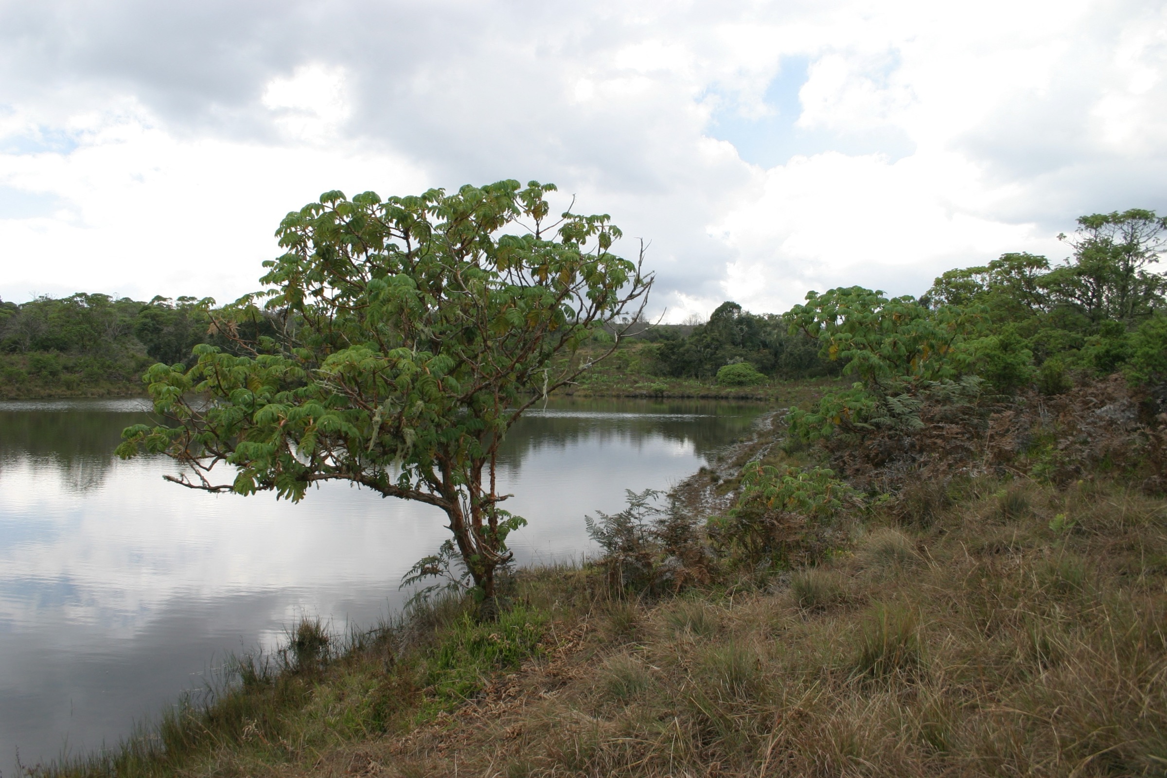 Lac Kaulime sur le plateau de Nyika