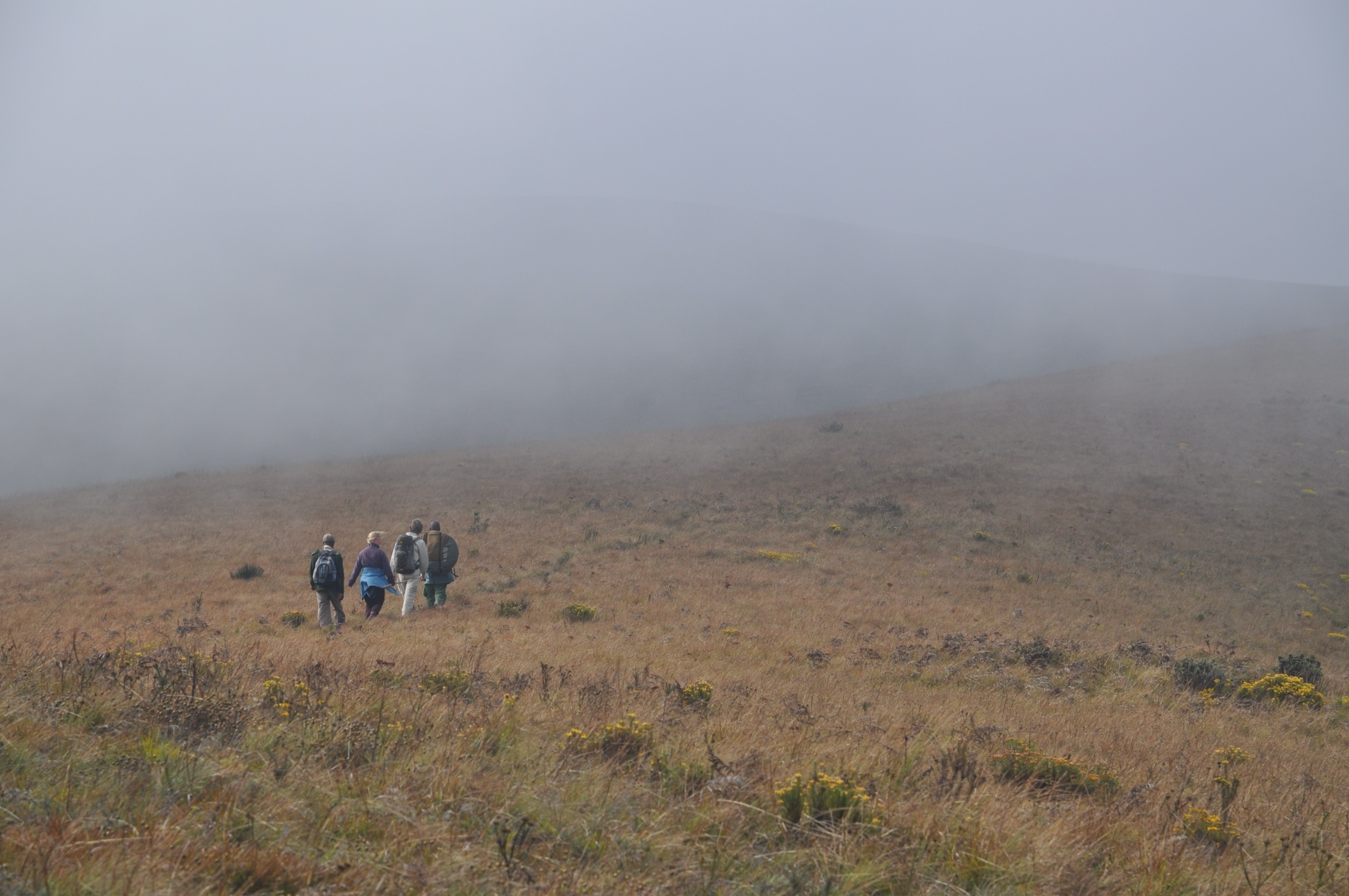 Prairie ouverte du plateau de Nyika (illustratif de l'approche du Nganda)