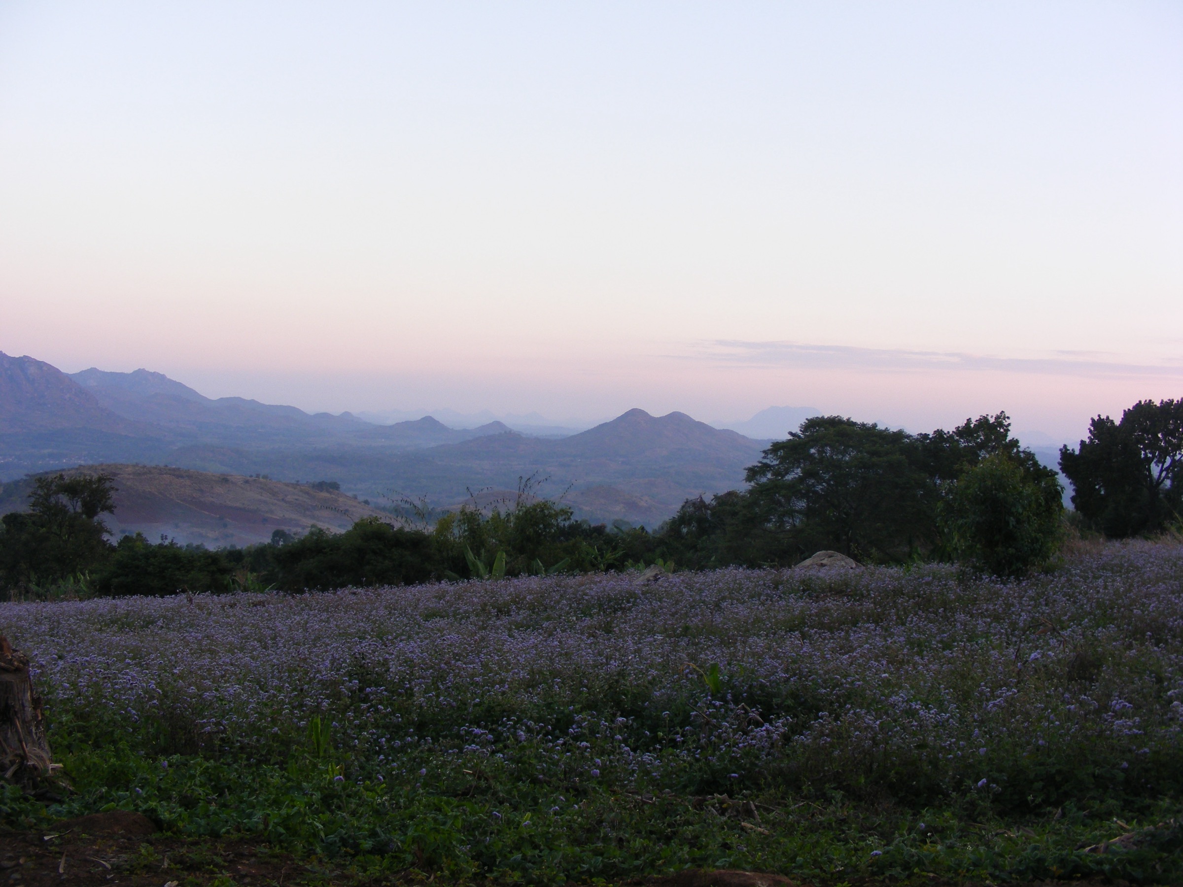On the slopes of the Zomba Plateau