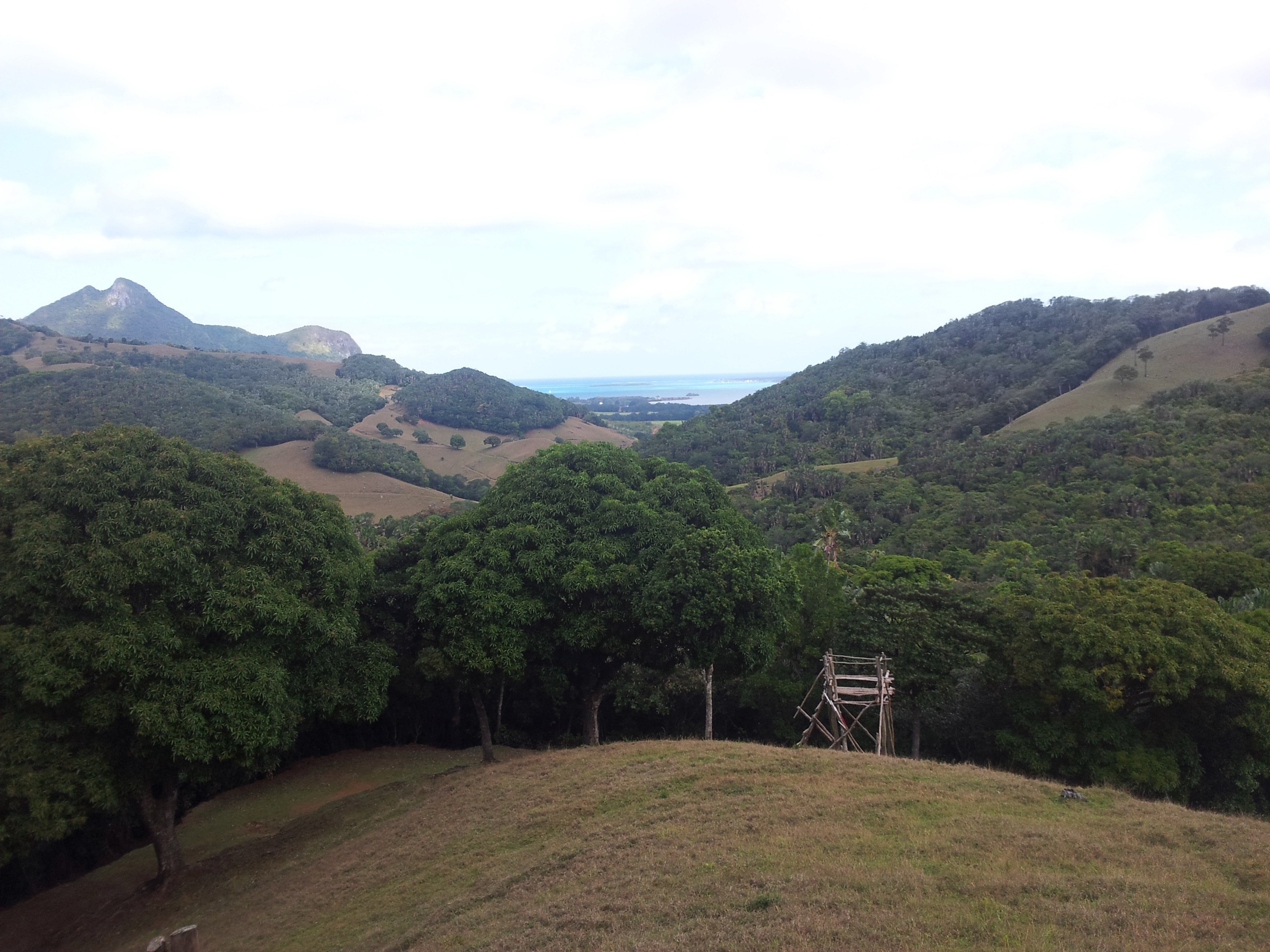 View from the Vallée de Ferney down to Ile aux Aigrettes and the Grand Port lagoon