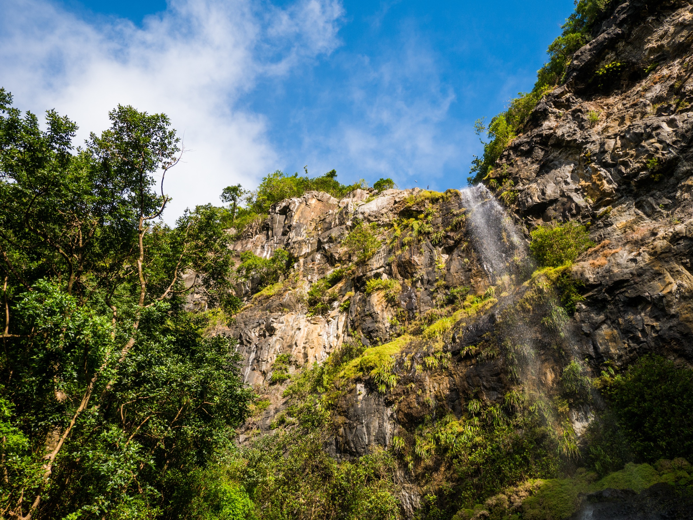 Mare aux Joncs waterfall along the Macchabée loop in Black River Gorges National Park