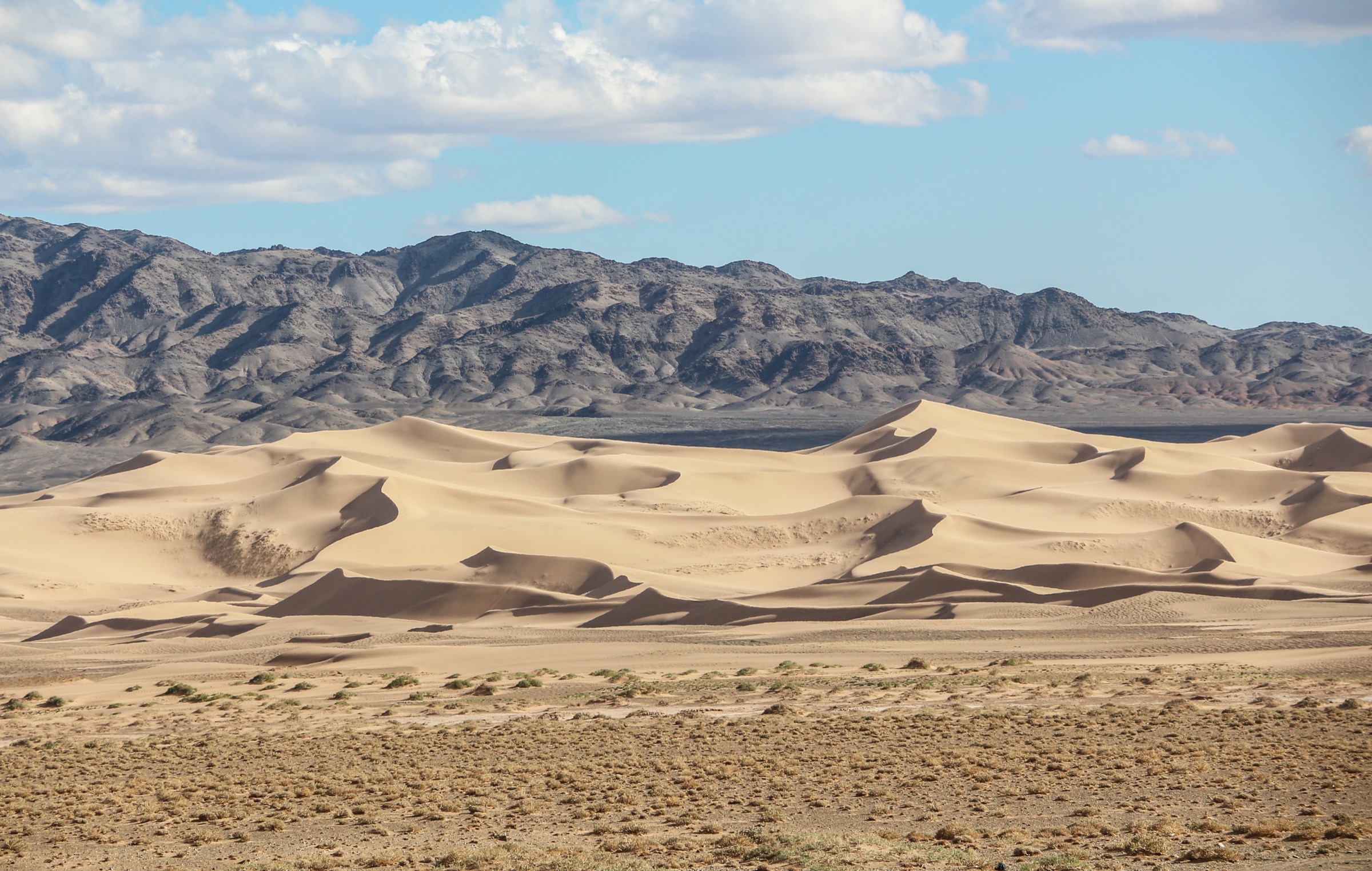Dunes de sable de Khongoryn Els dans le désert de Gobi, Mongolie