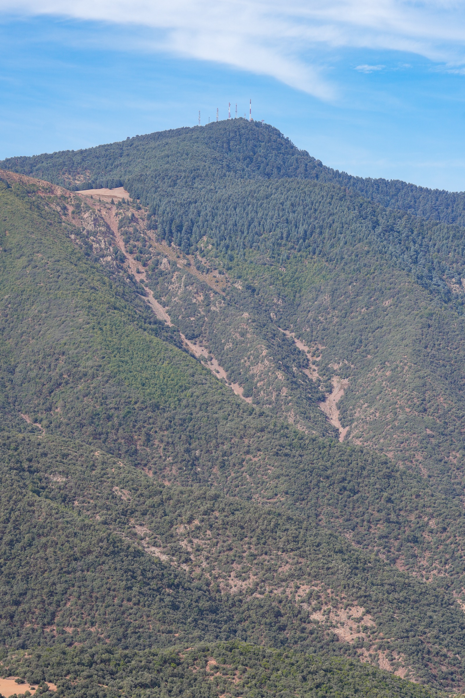 Face sud-est du Jbel Tazekka avec chêne vert et cèdre de l'Atlas, Moyen Atlas