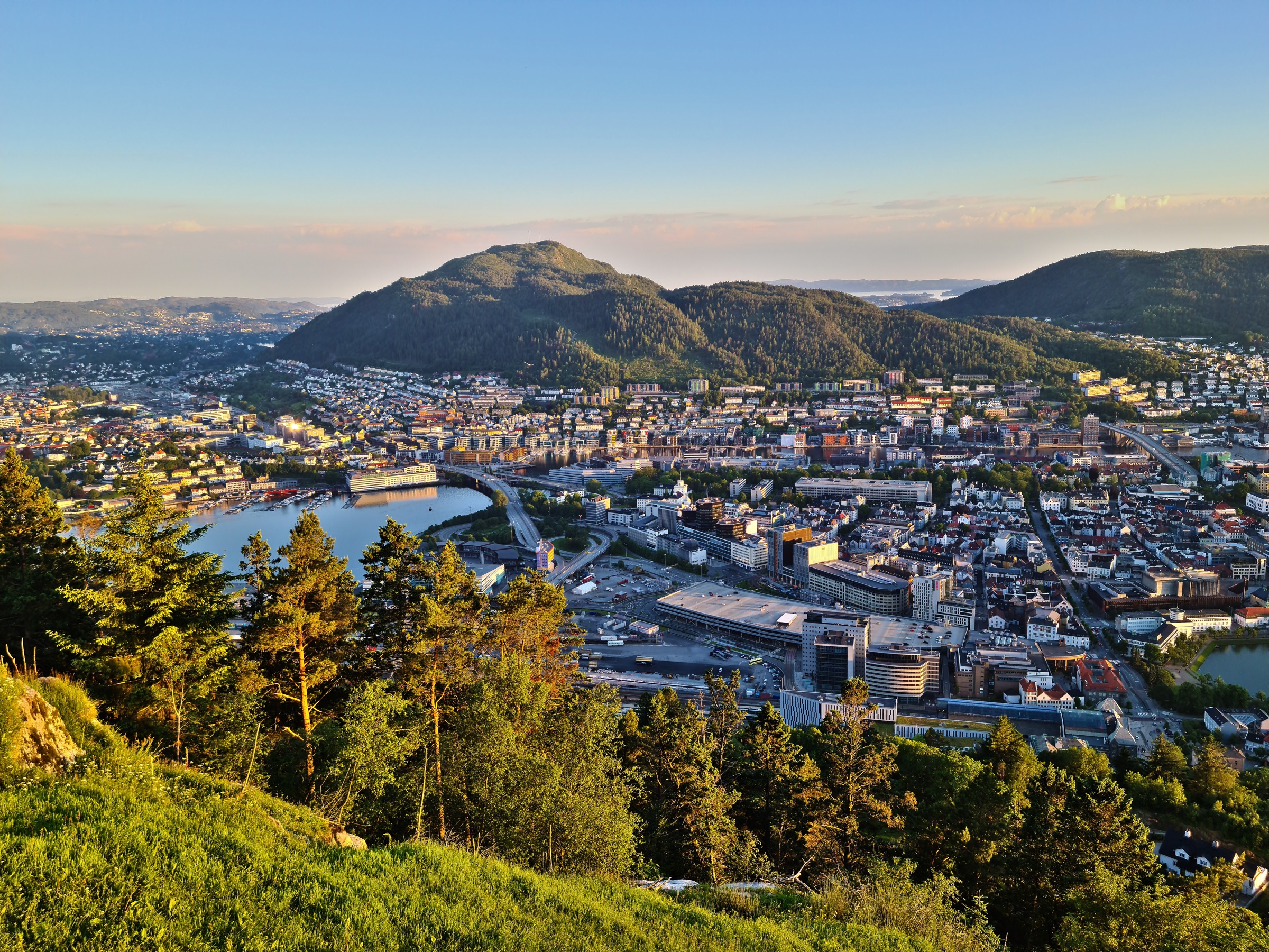 Centre de Bergen, port et bras de mer de Vågen vus depuis le Mont Fløyen au-dessus des maisons en bois