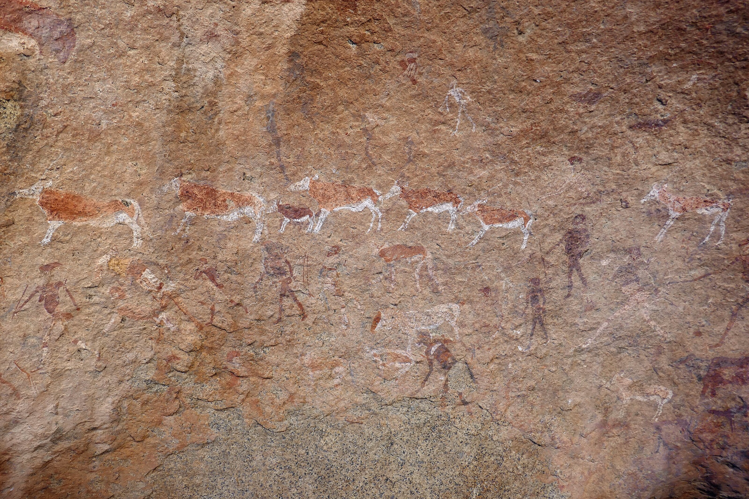 San rock paintings belonging to the White Lady frieze in the Brandberg Massif, Namibia