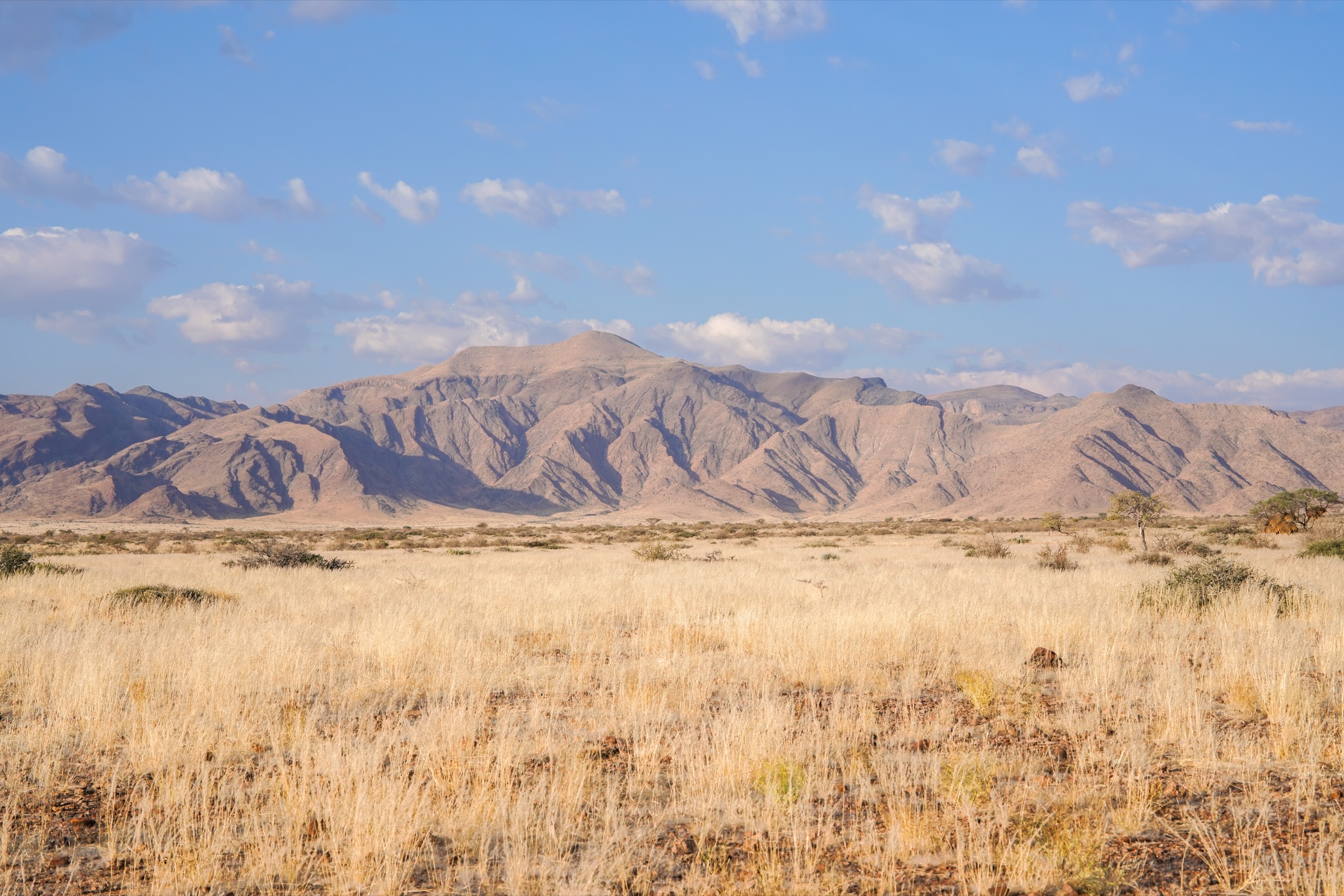 Namibie — Naukluft : randonnées à la journée essentielles