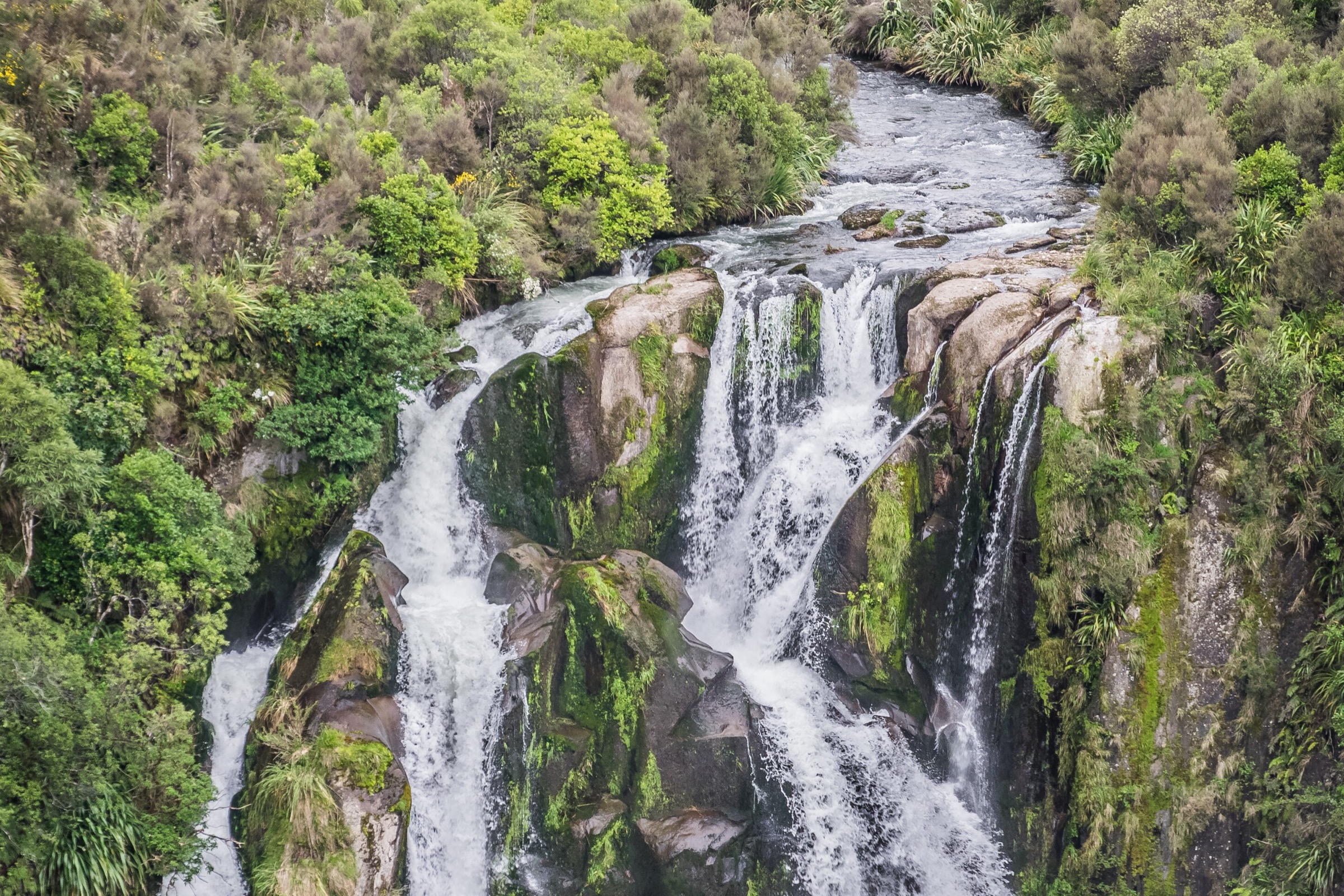 Chutes Waipunga sur le versant Napier–Taupō de la chaîne centrale d'Ahimanawa