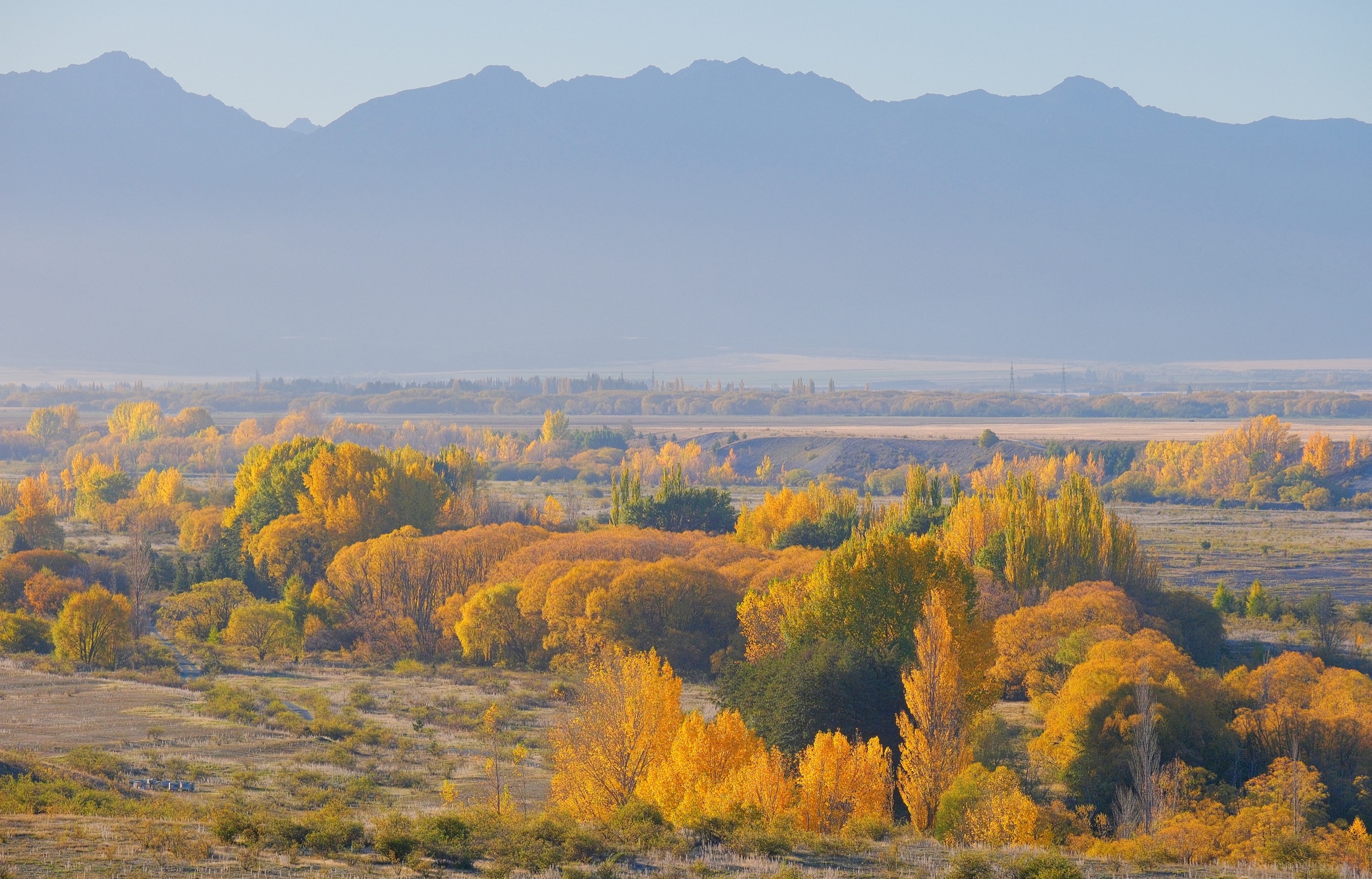 Couleurs d'automne le long de l'Ohau River avec la chaîne du Ben Ōhau en arrière-plan