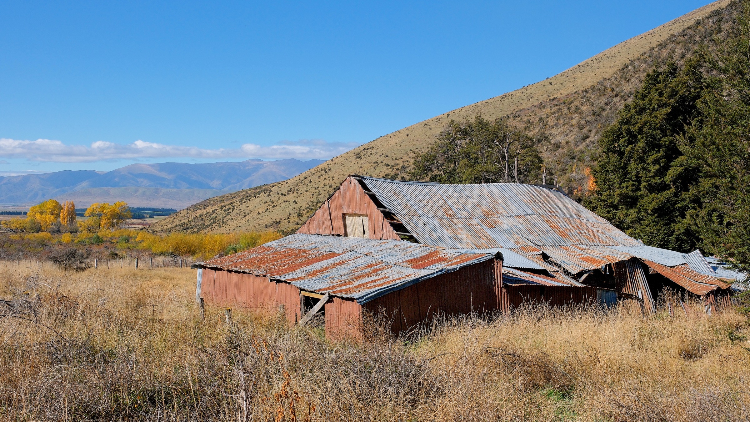 Derelict Quailburn woolshed at the eastern trailhead of the Tarnbrae Track