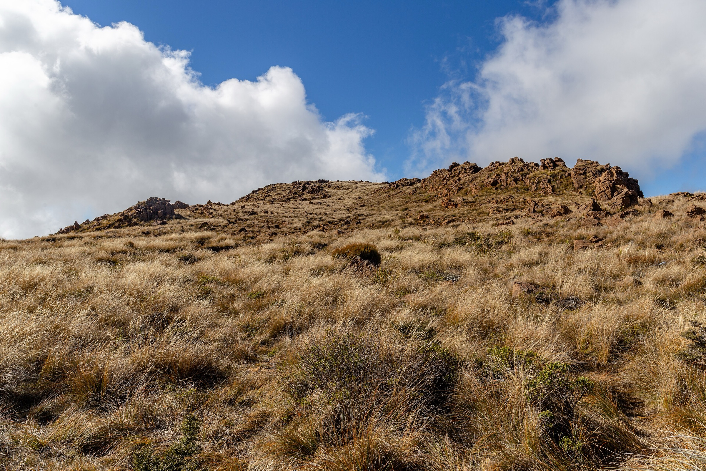 Dun Mountain, Bryant Range, New Zealand