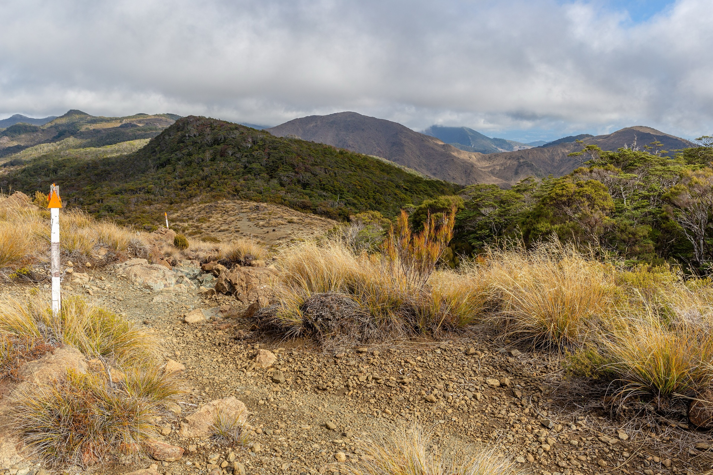 Trail to Dun Mountain across the mineral belt, Bryant Range, New Zealand