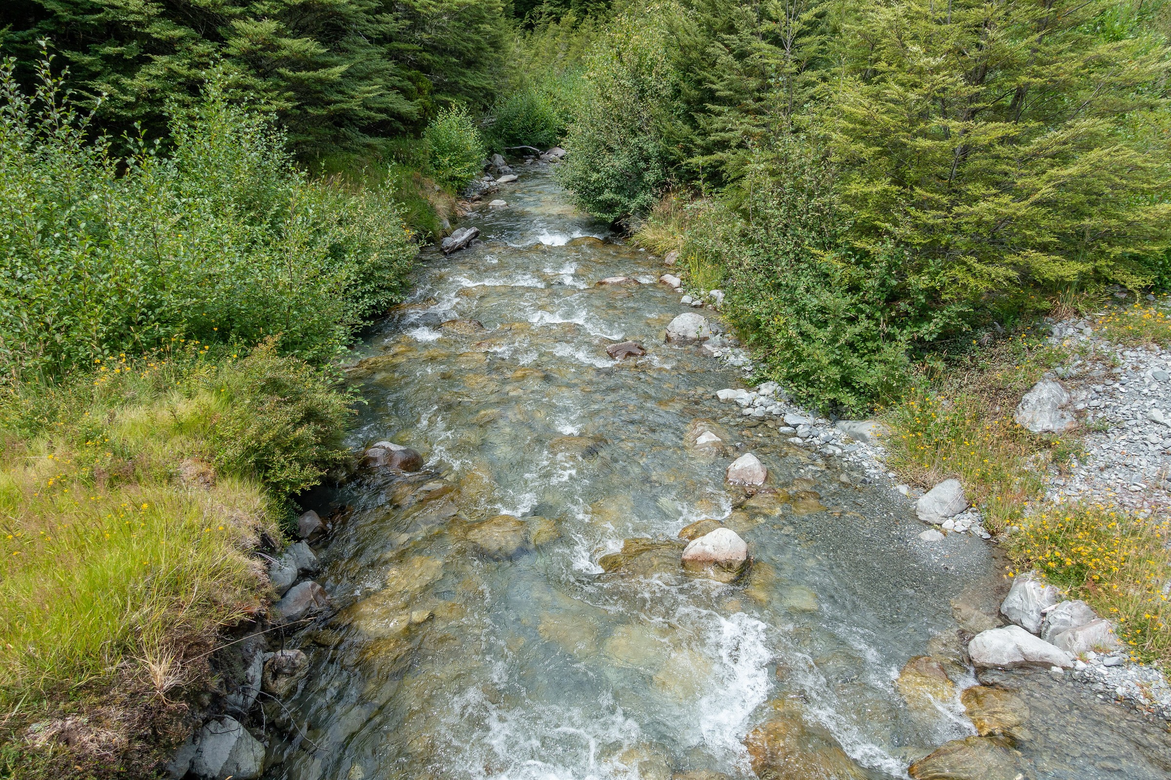 Broken River vue depuis Dracophyllum Flat Track dans la chaîne des Craigieburn