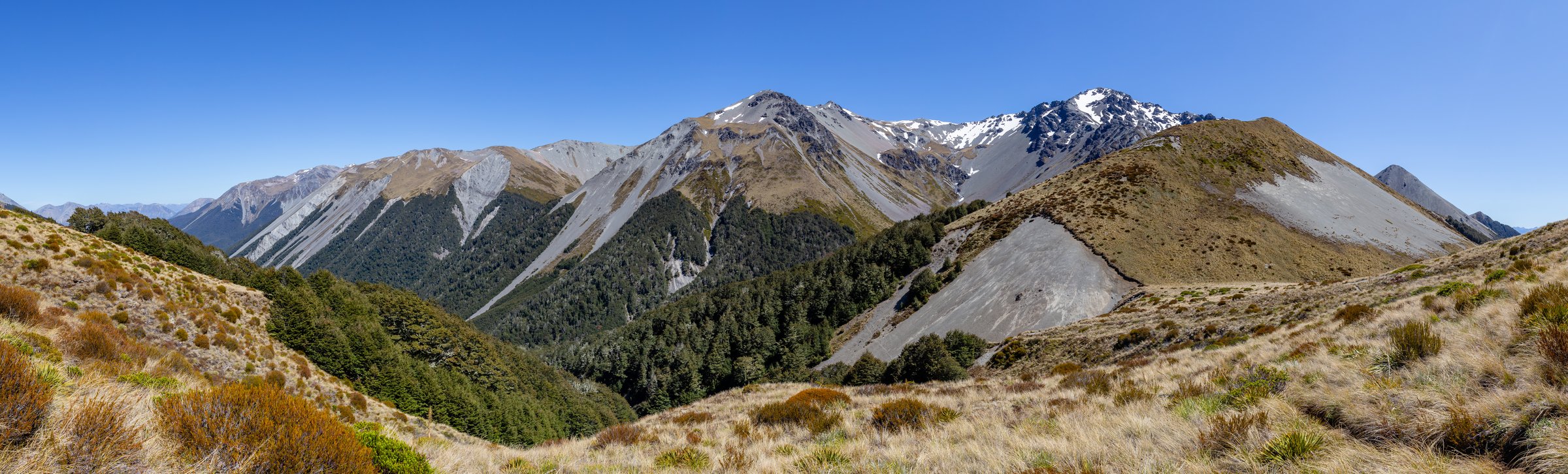Cass Saddle, Craigieburn Forest Park