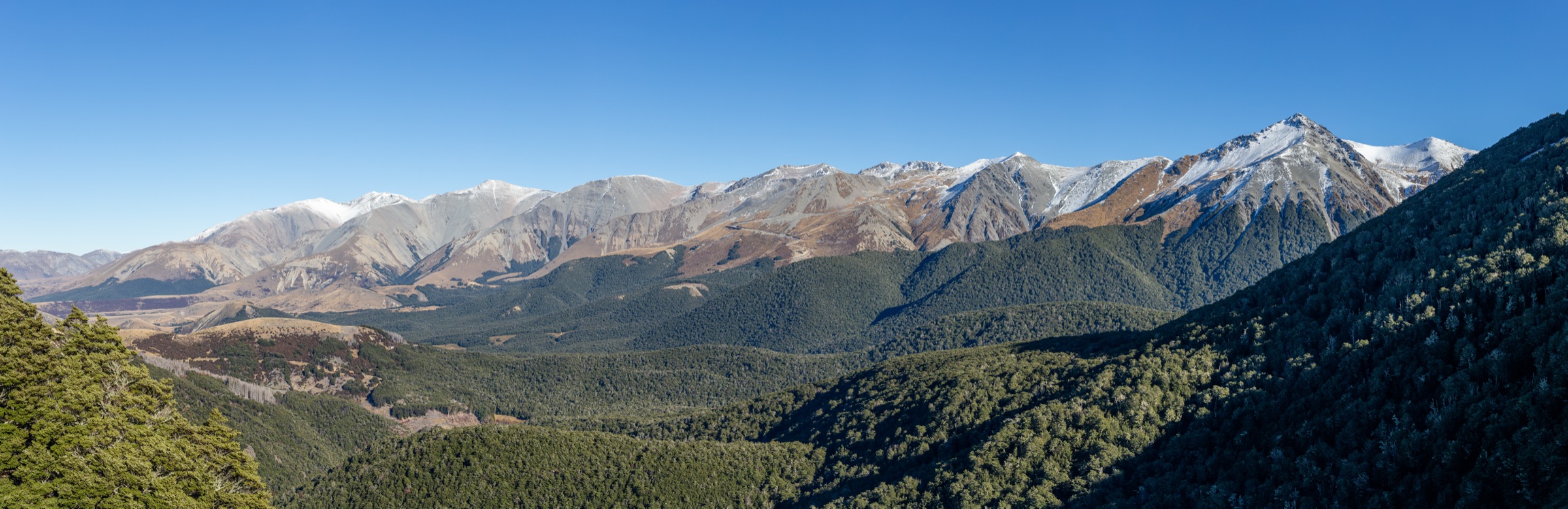 New Zealand — Craigieburn Range: Craigieburn Forest Park