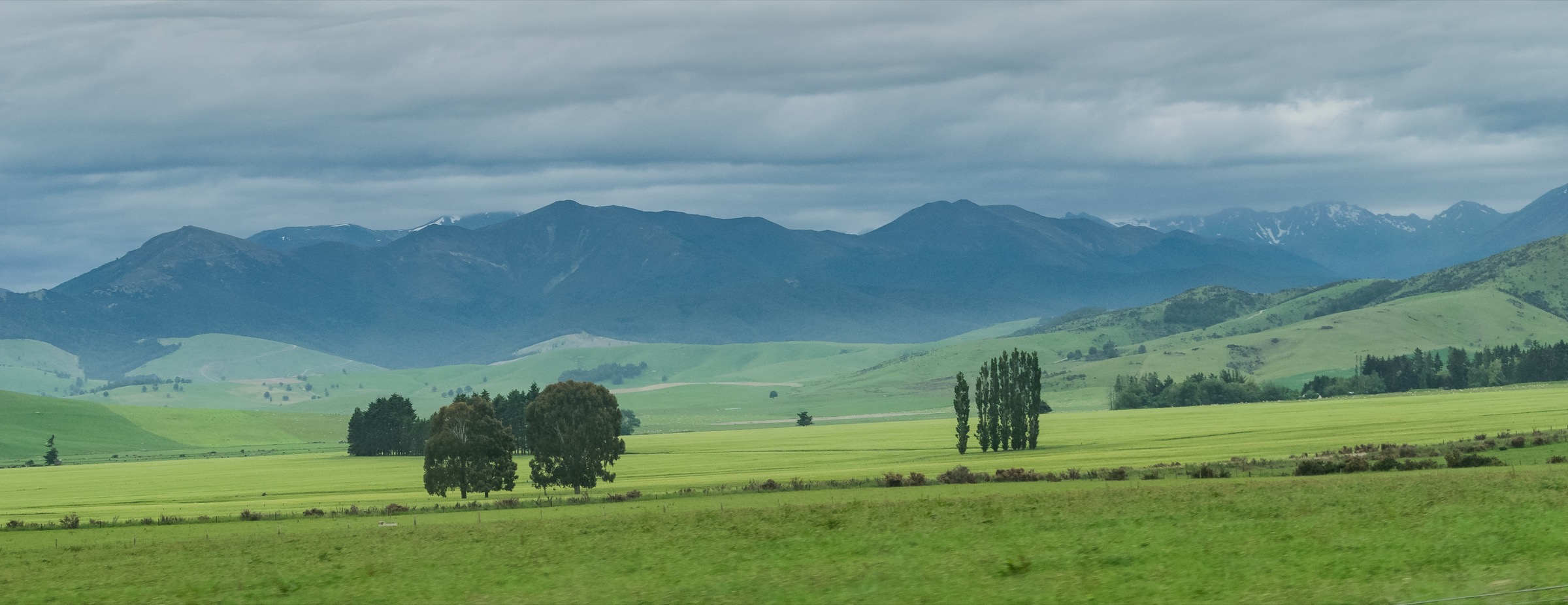 New Zealand — Mid Dome Area: research note