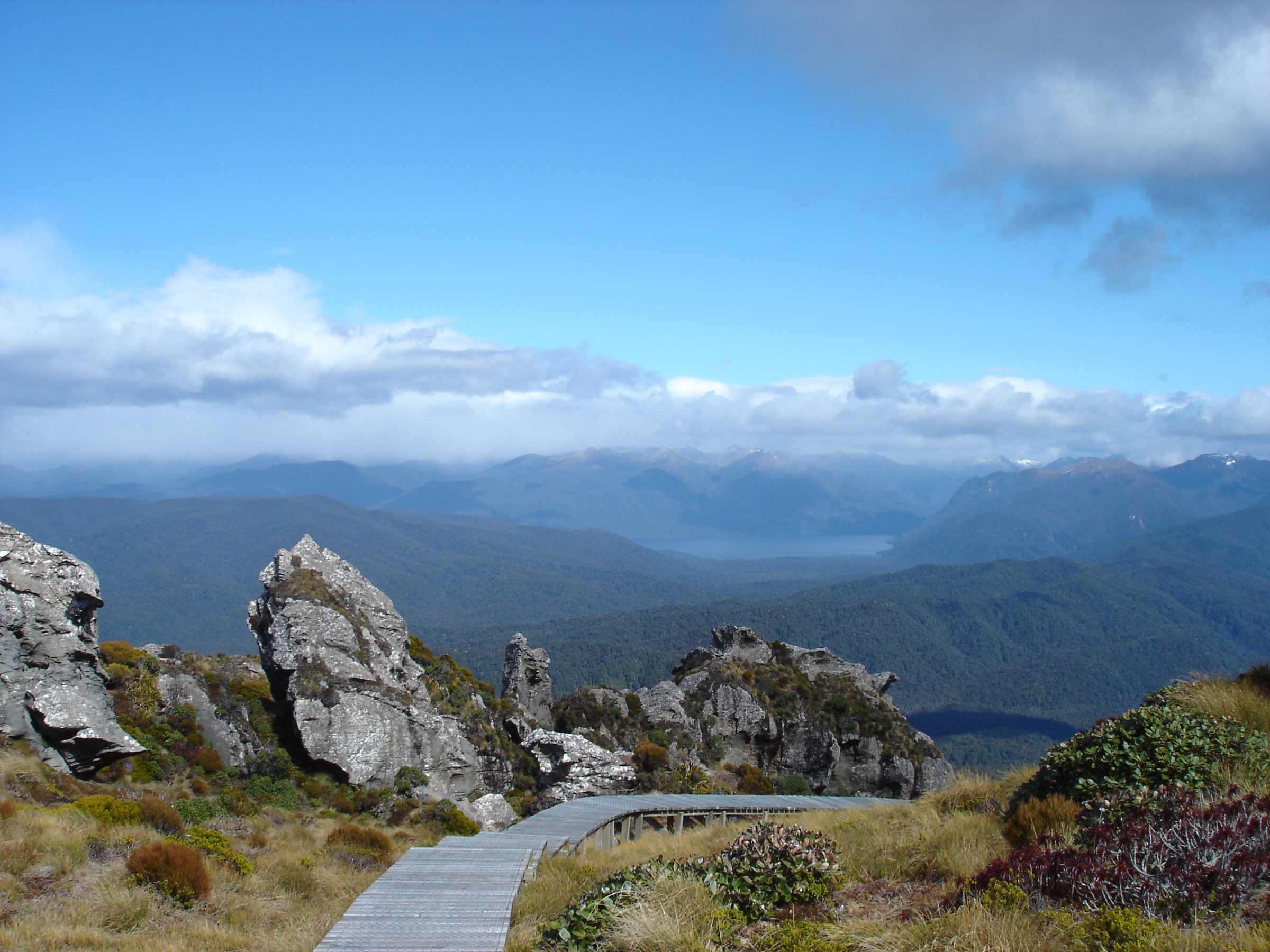 New Zealand — Fiordland: Hump Ridge area