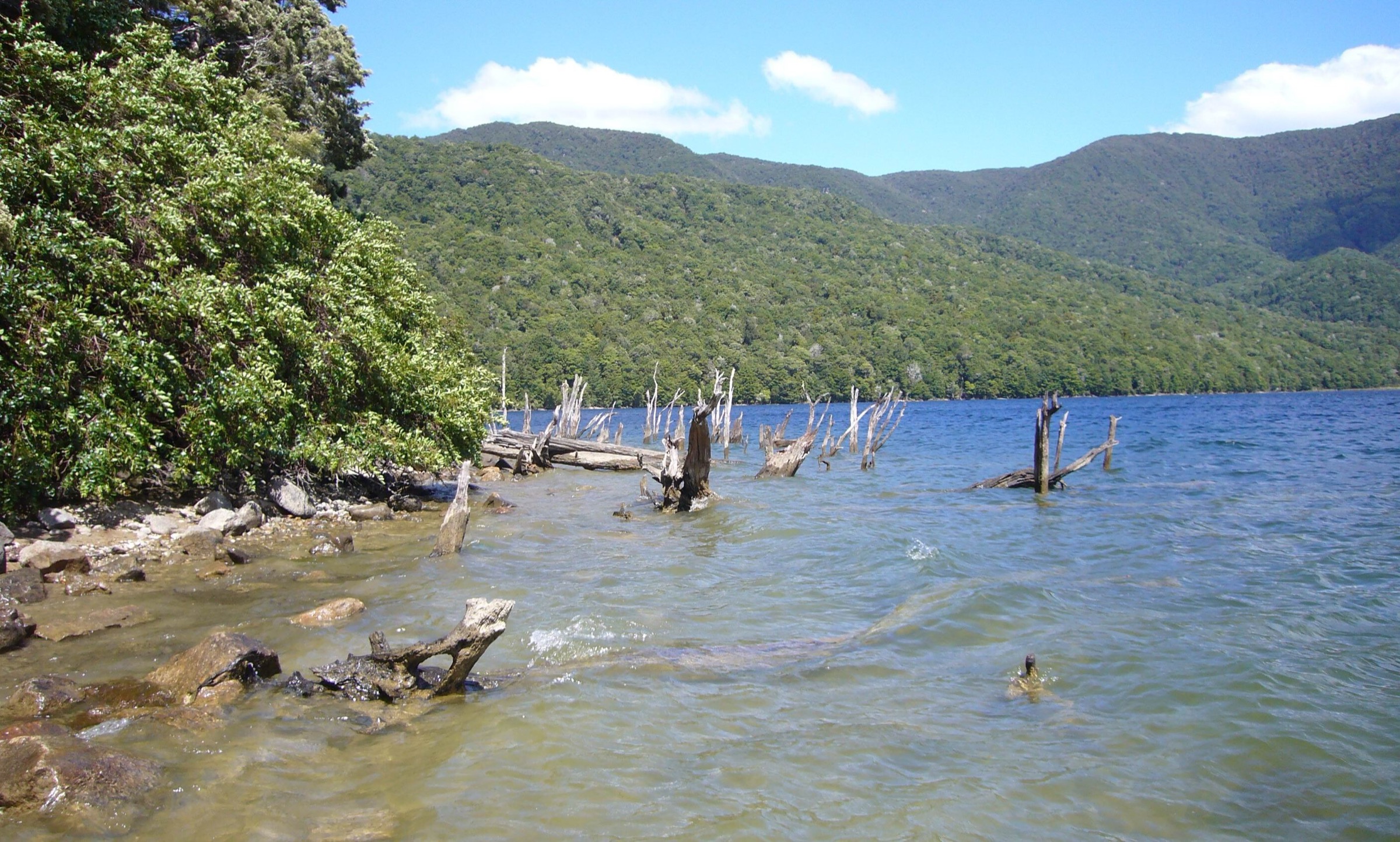 Lake Monowai and drowned tree stumps, the Borland Road gateway to the Hunter Mountains